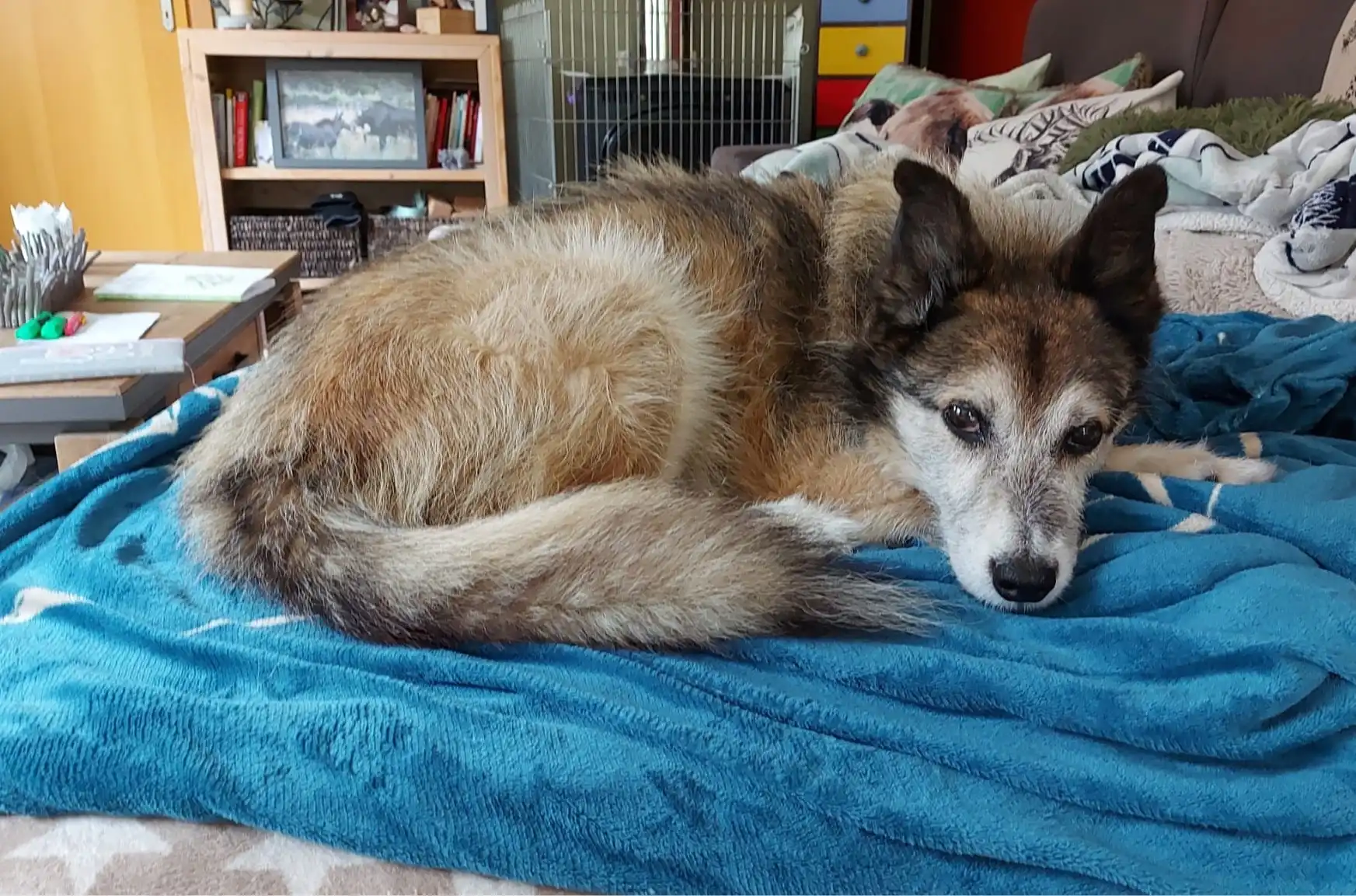image-8