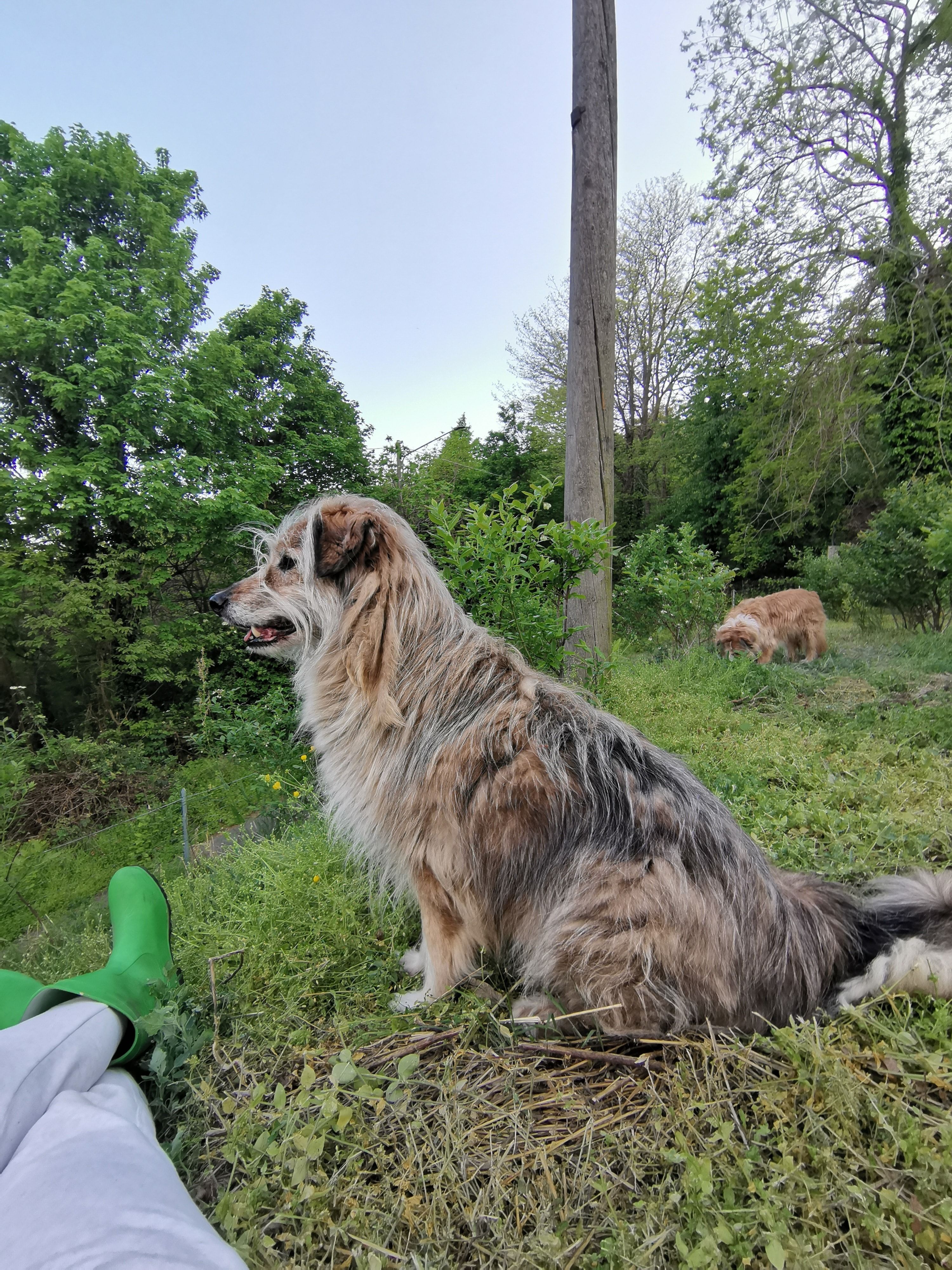 image-13