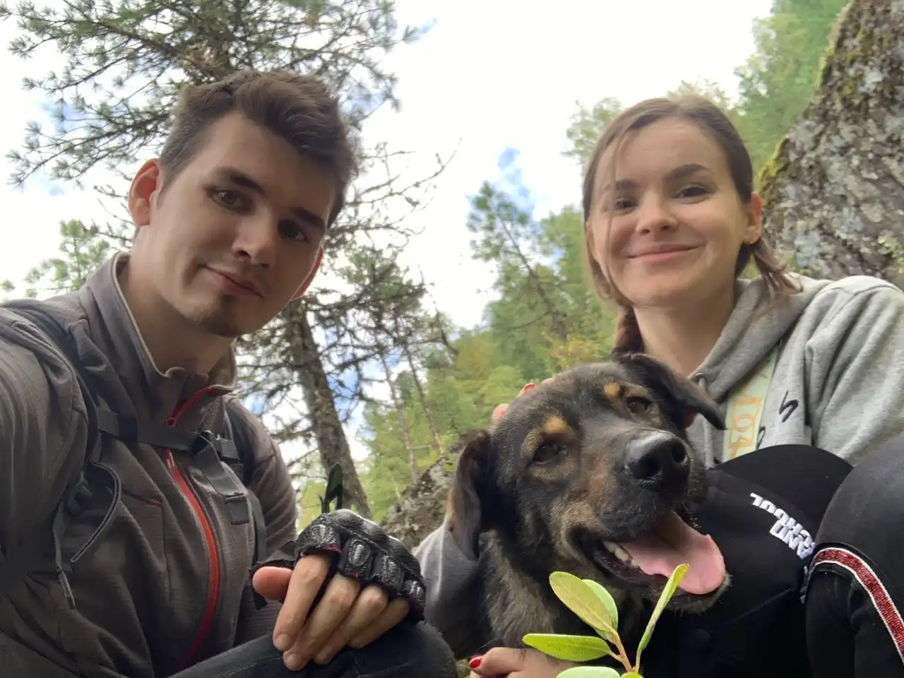 image-5