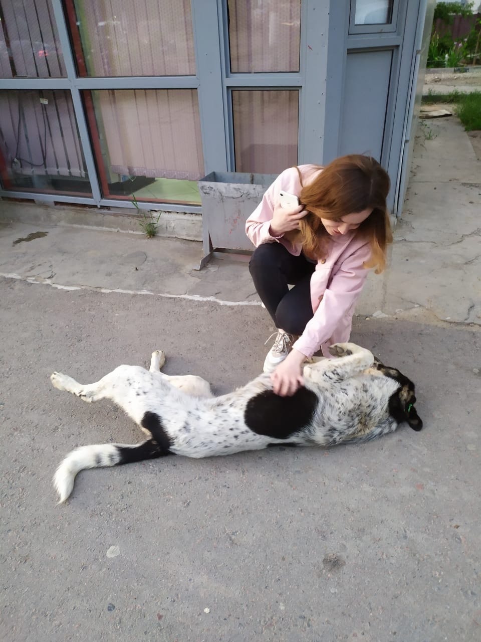 image-8