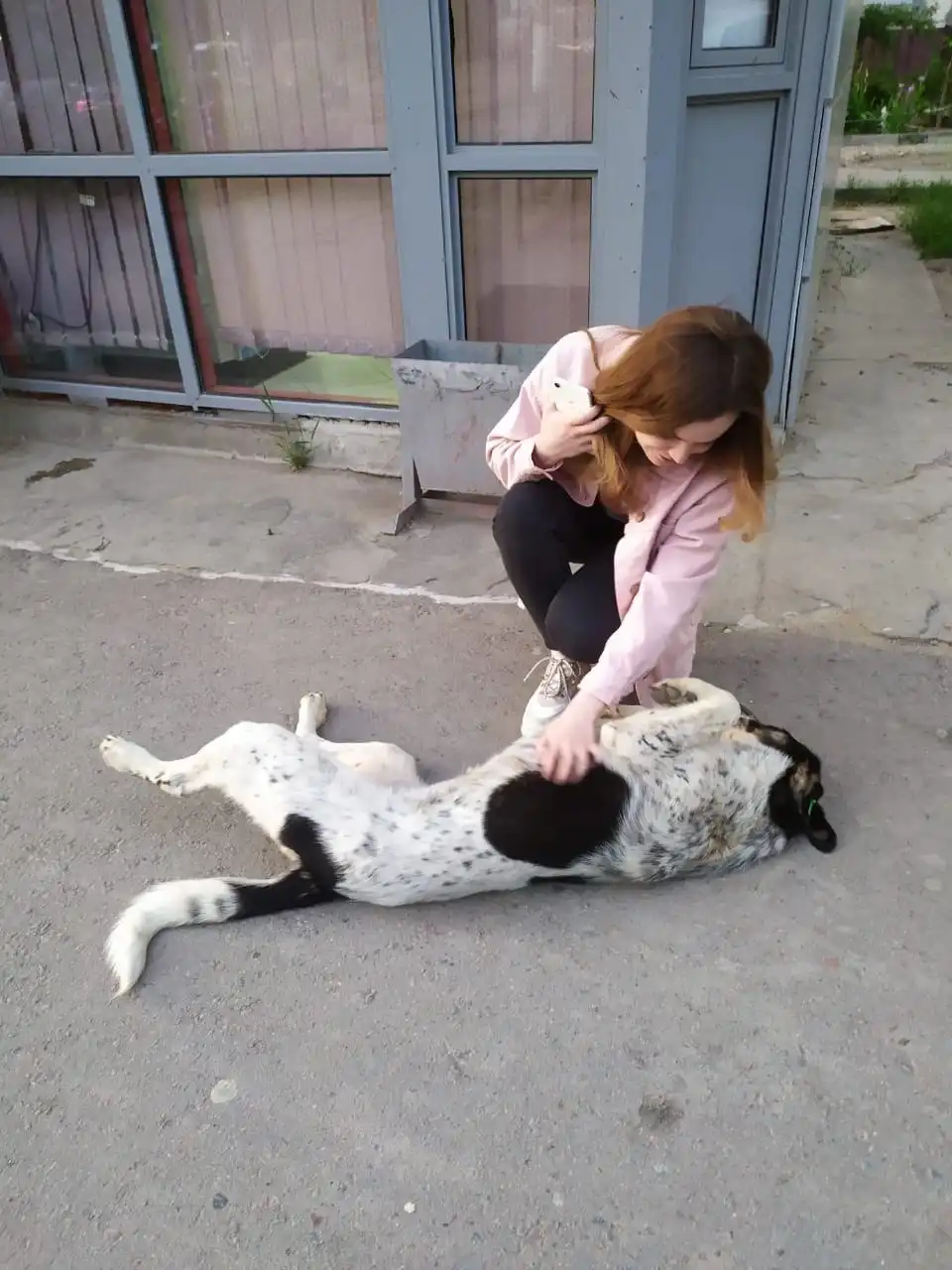 image-8