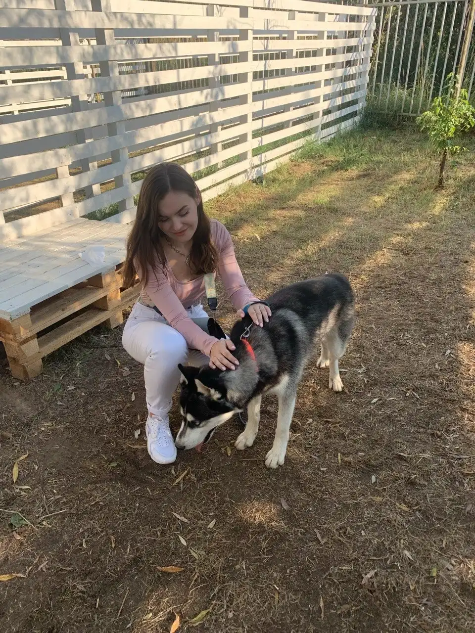 image-6