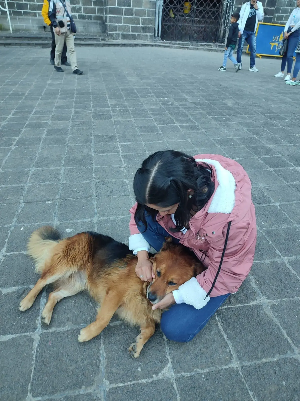 image-3