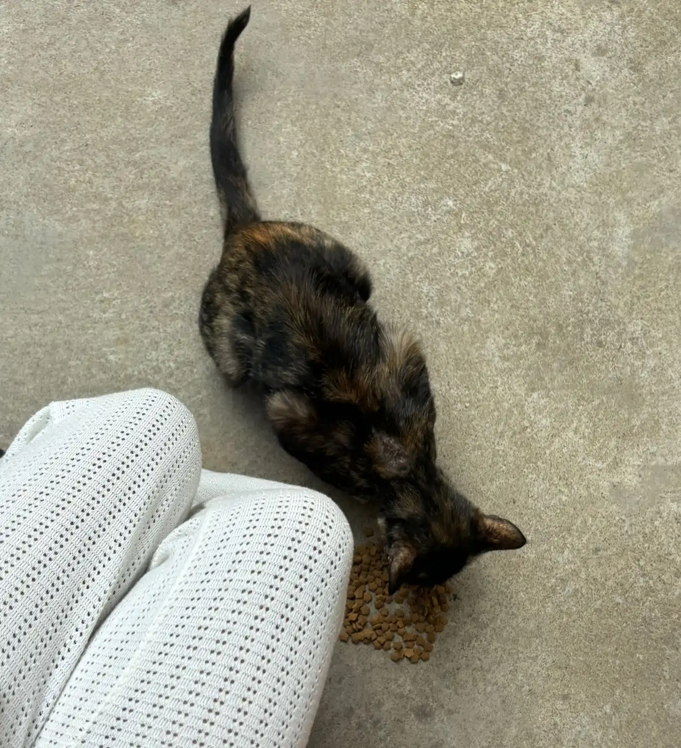 image-5