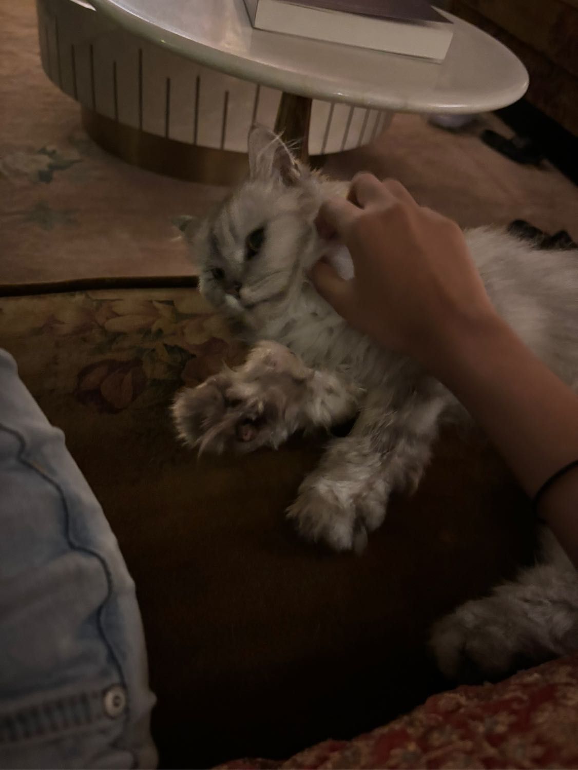image-9