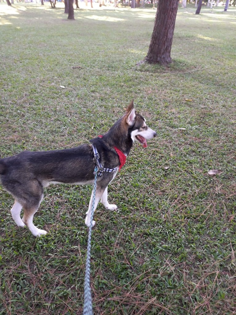 image-3