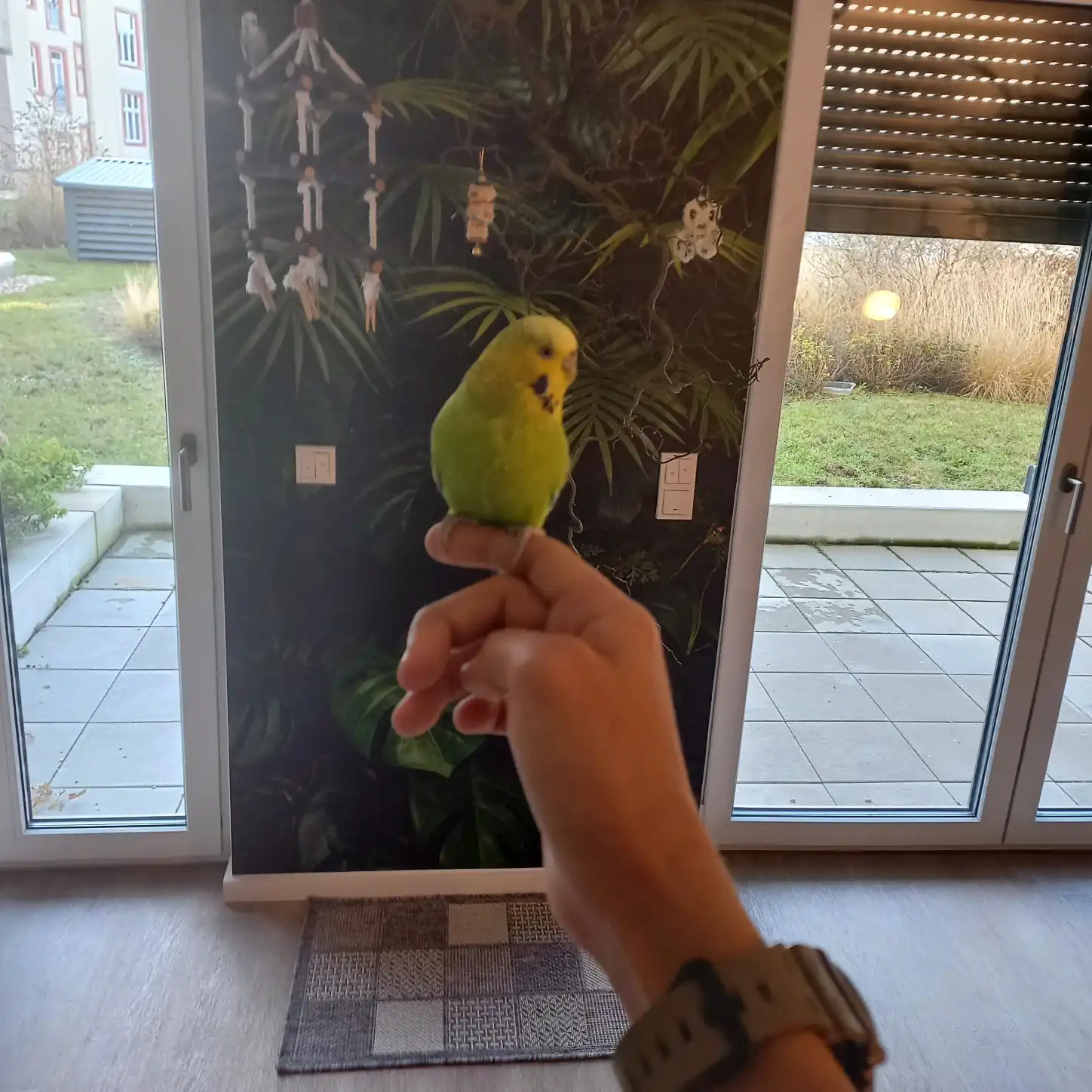 image-11