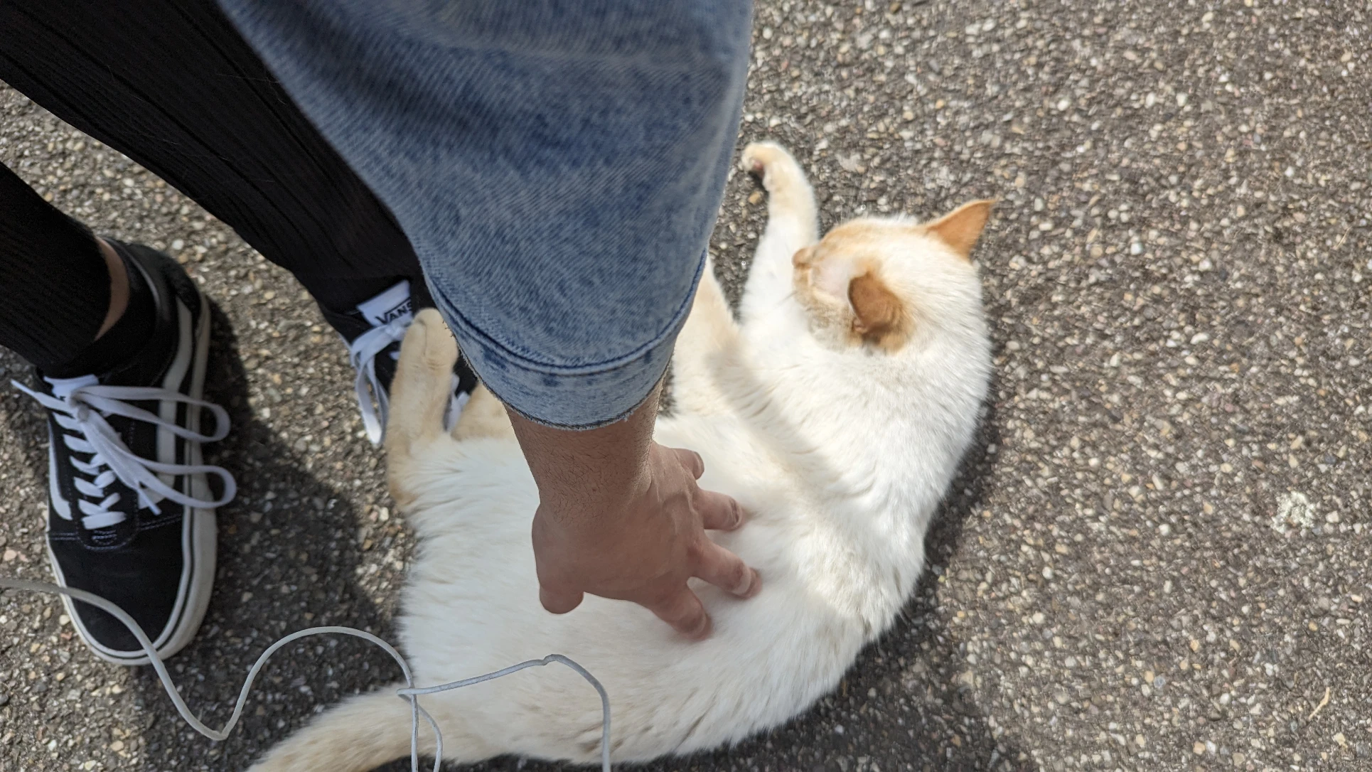 image-8