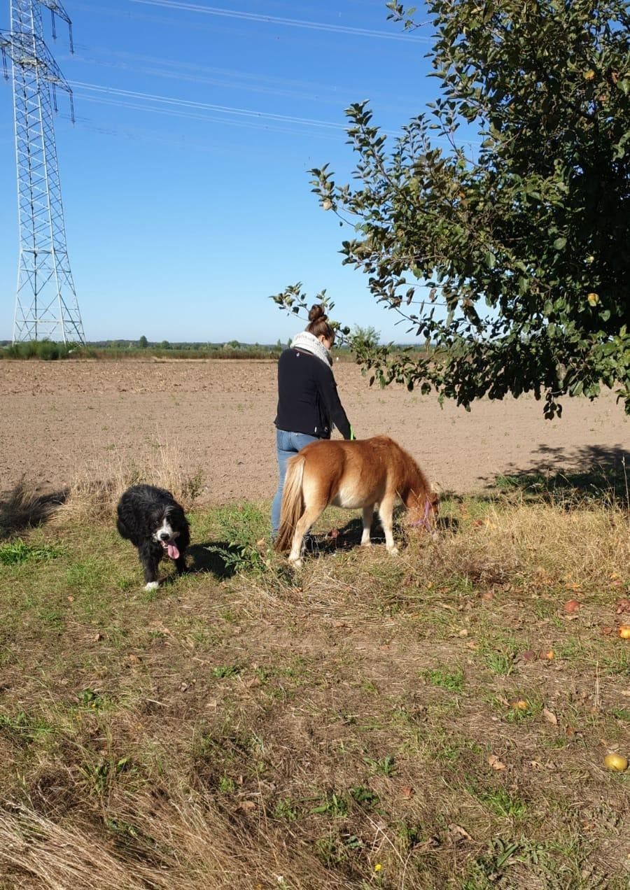 image-15