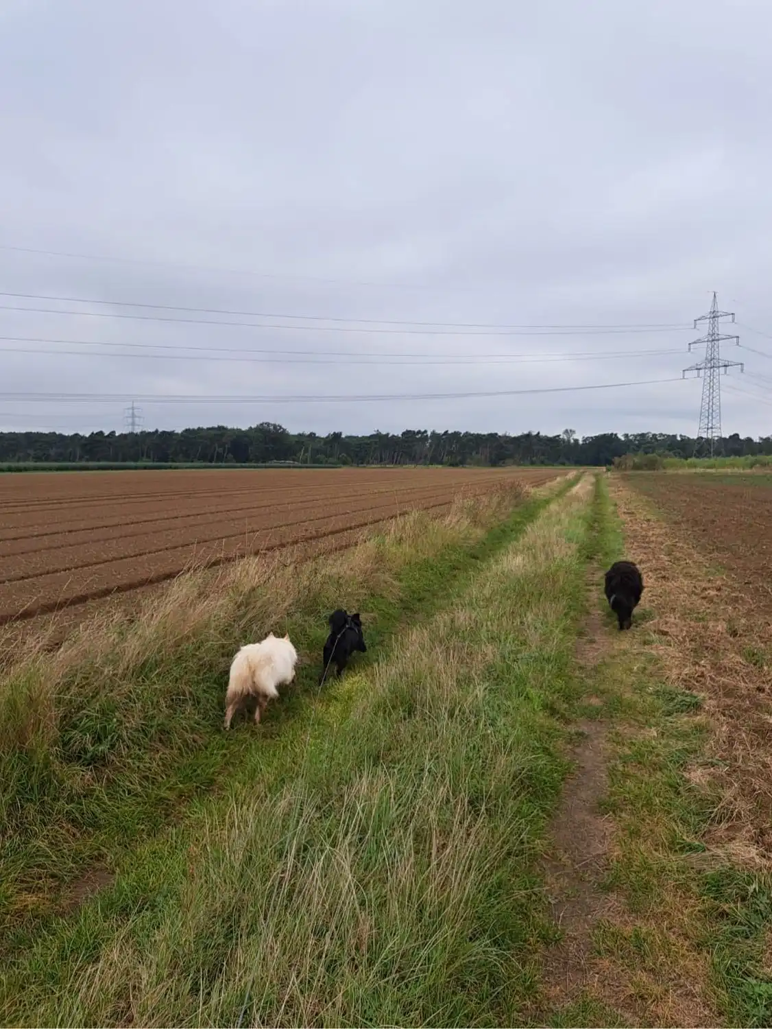 image-29
