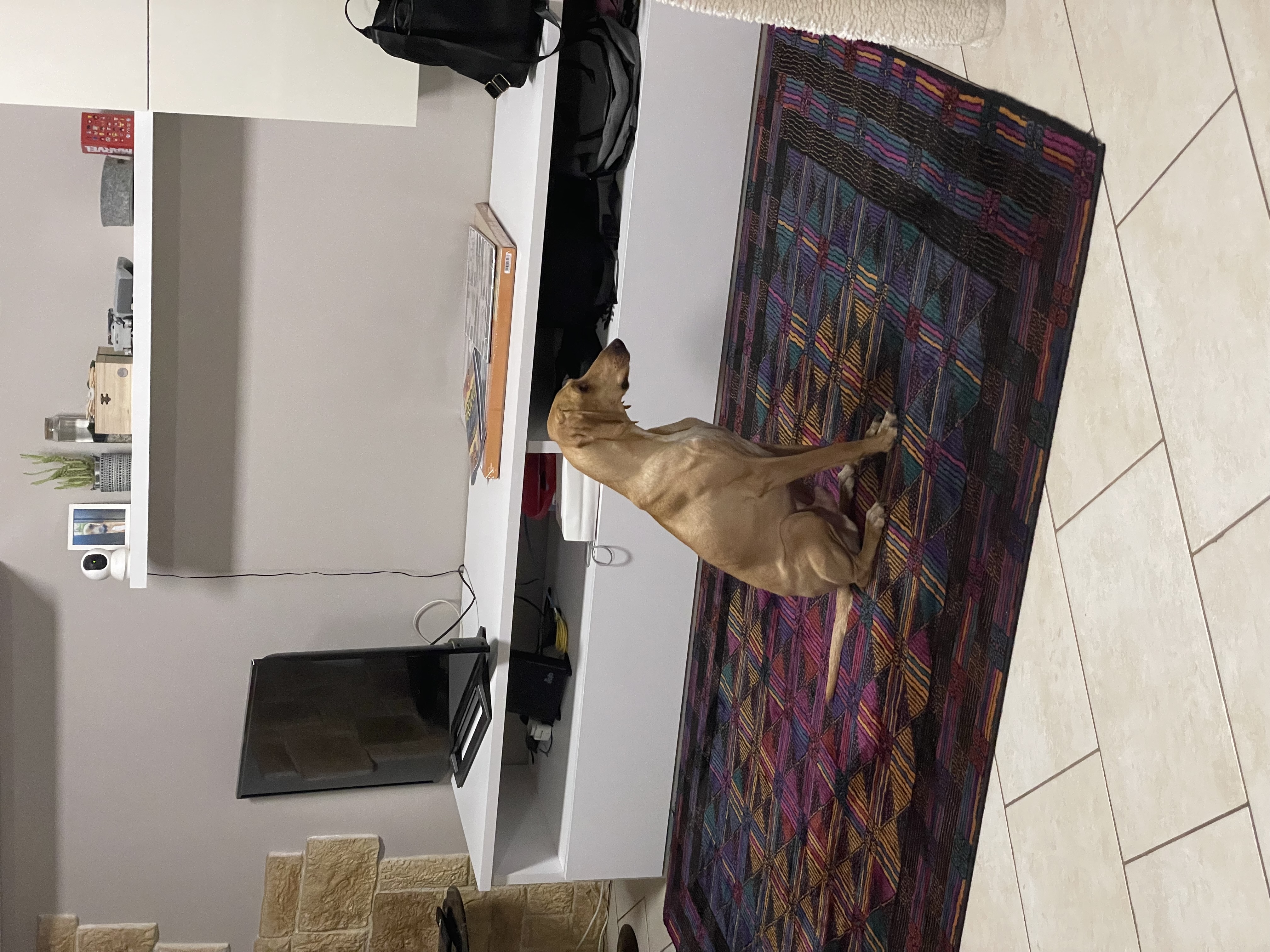 image-29