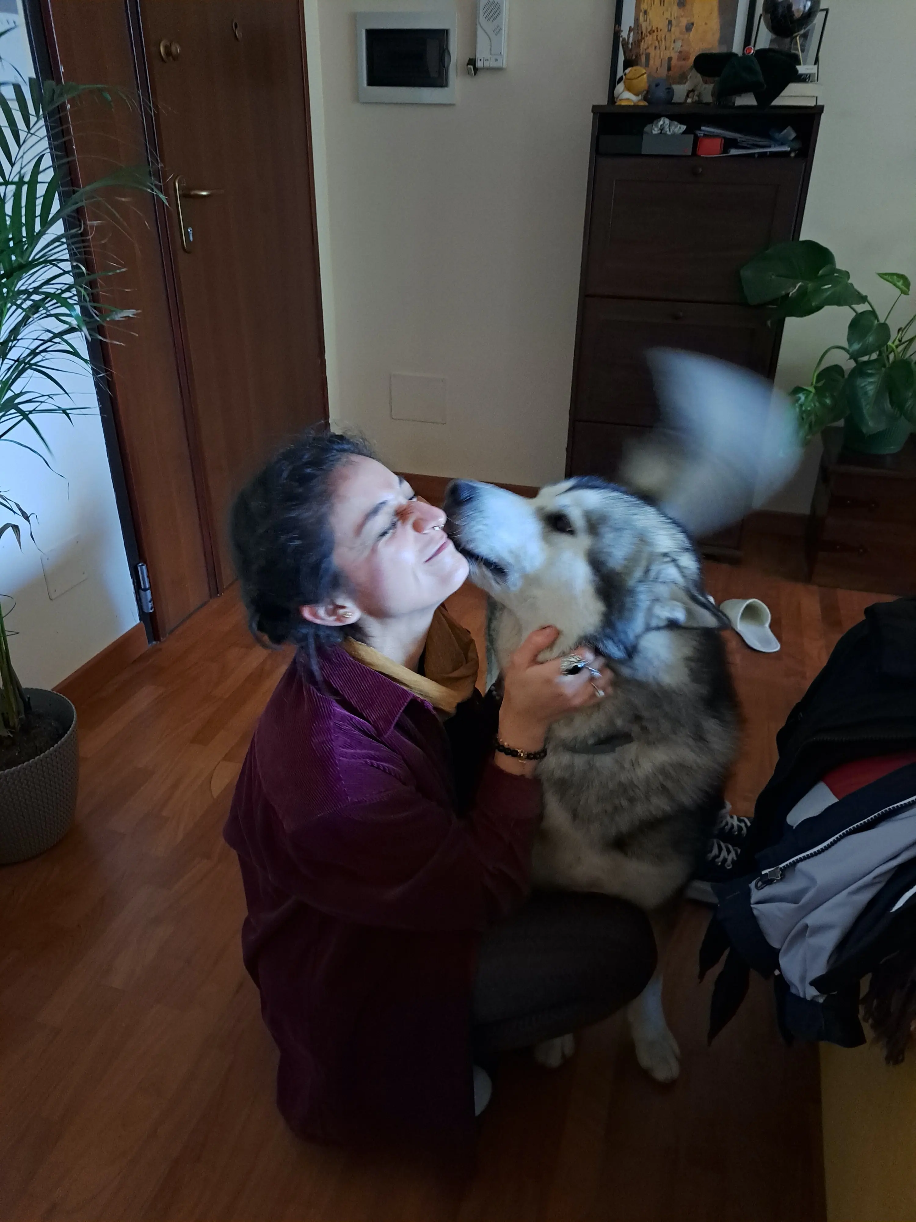 image-3