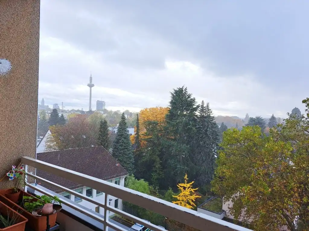 image-17