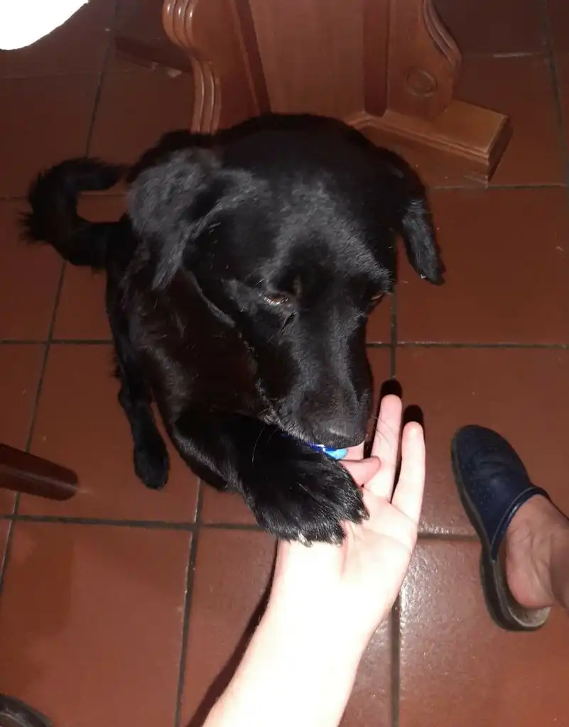 image-6