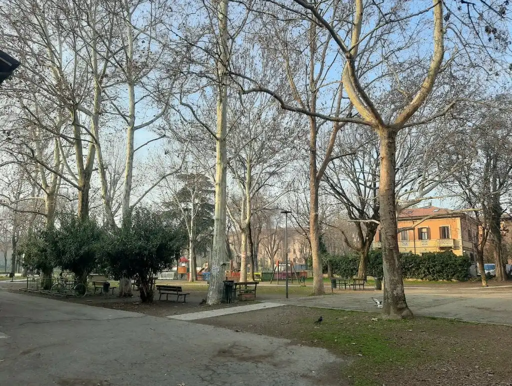image-9