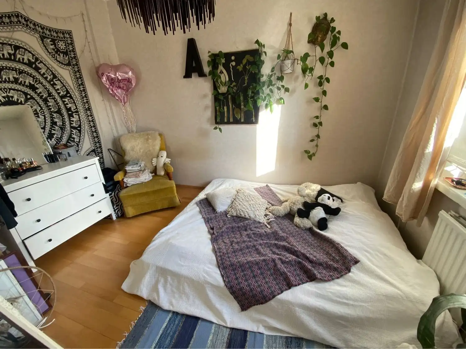 image-8