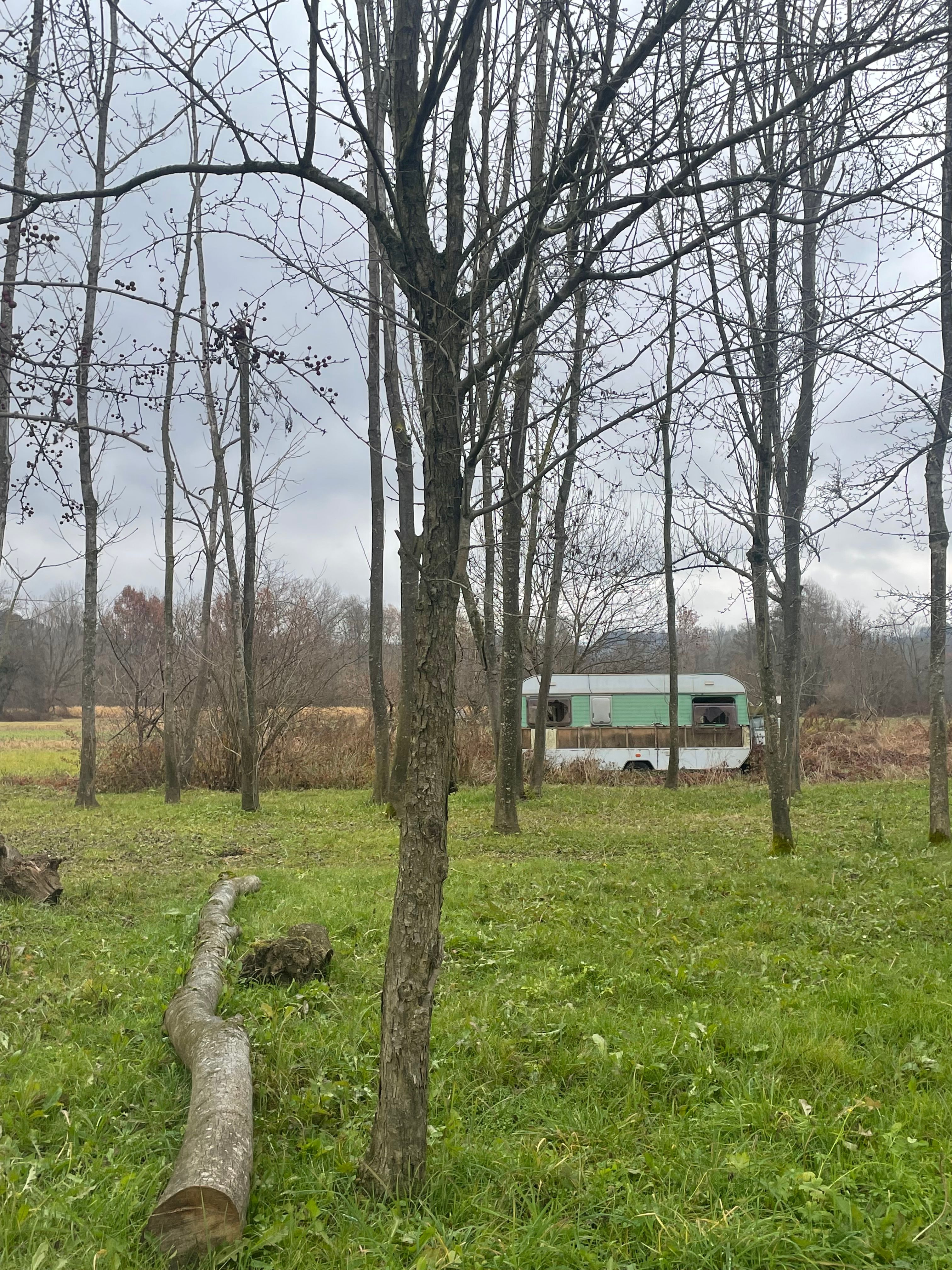 image-20