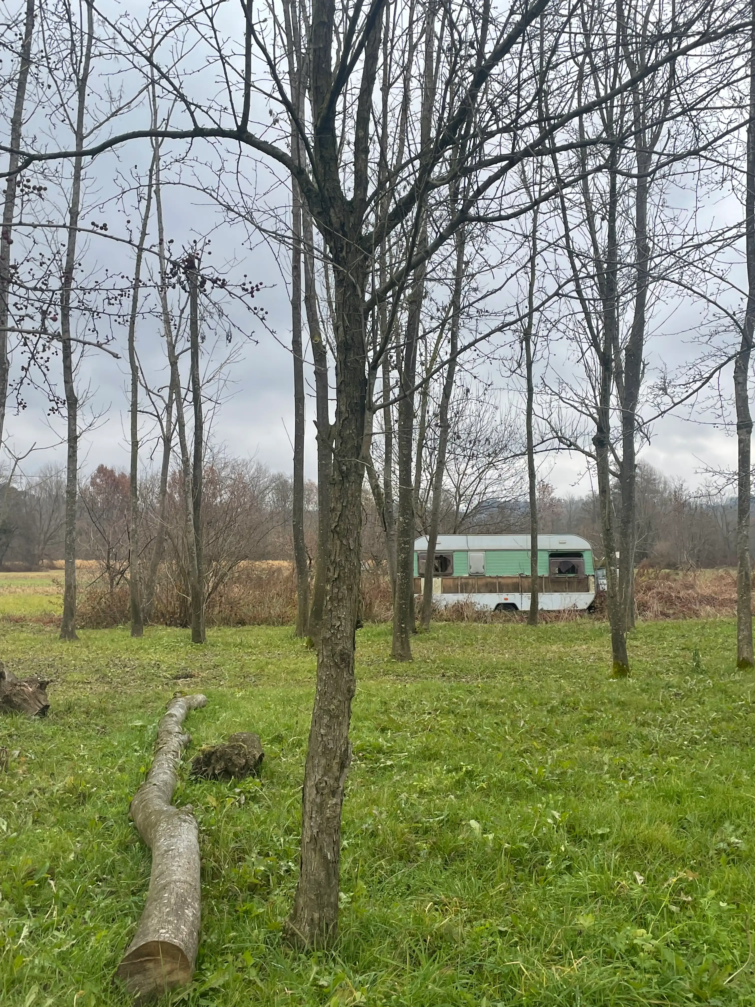 image-20
