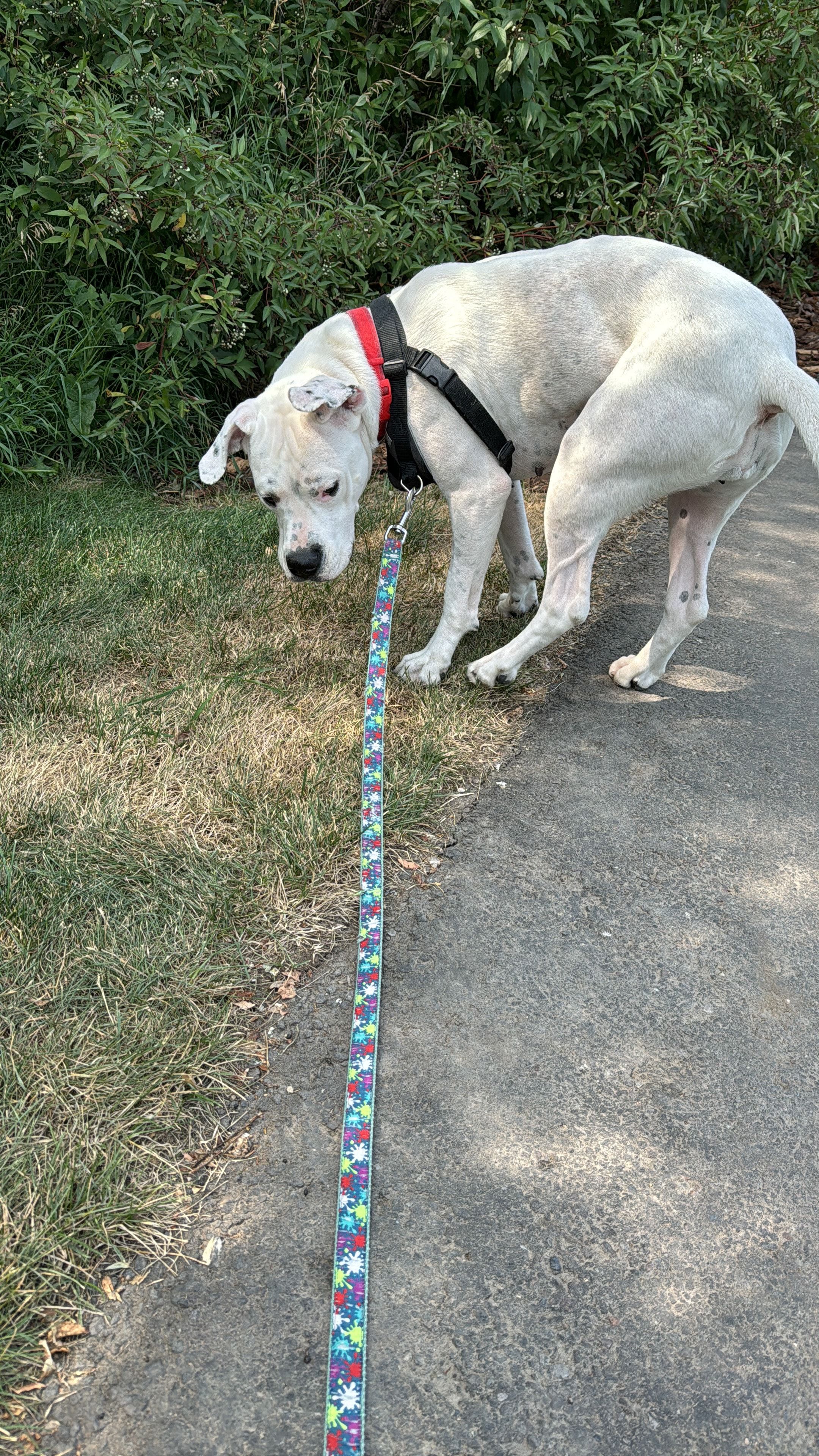 image-9