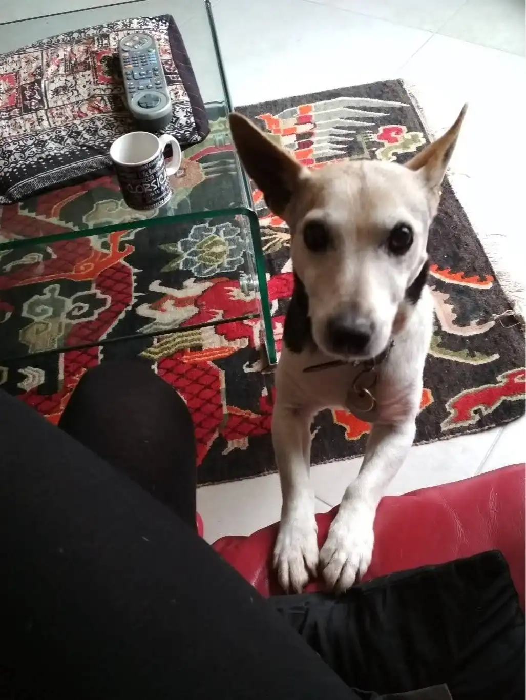 image-6