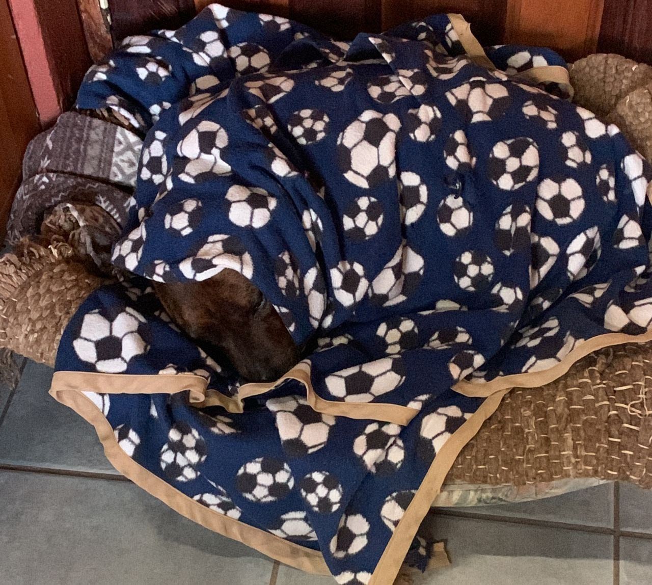 image-6