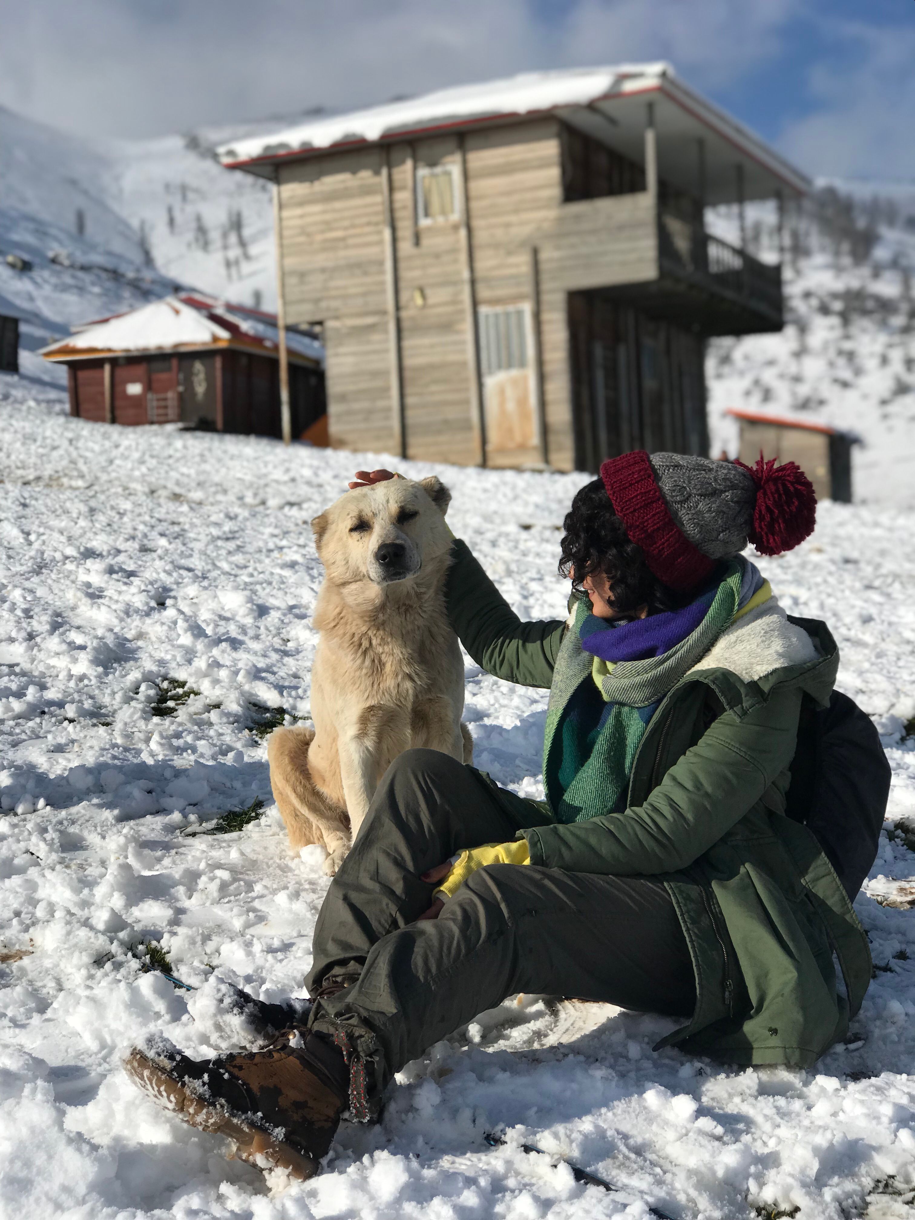 image-9