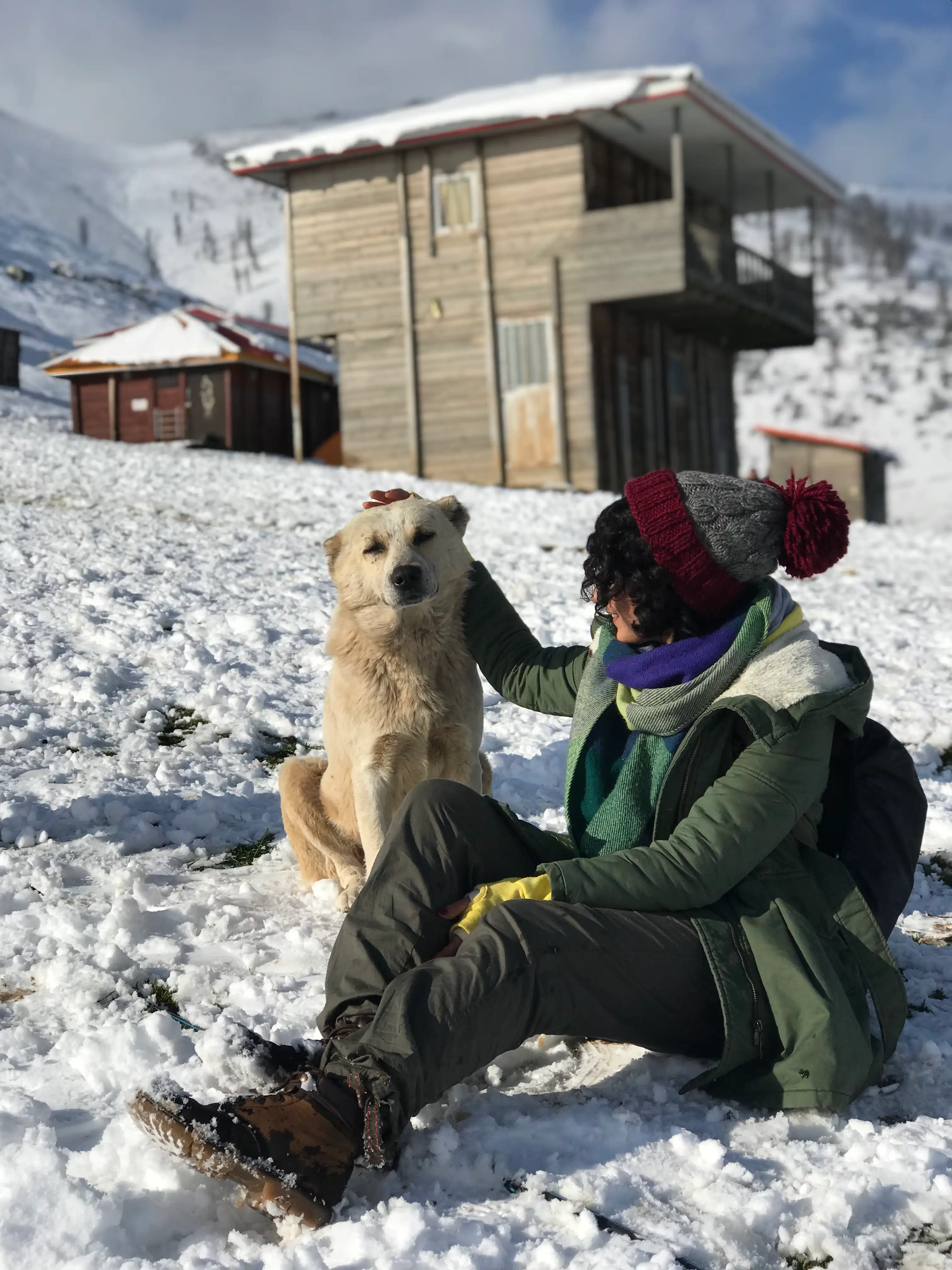 image-9