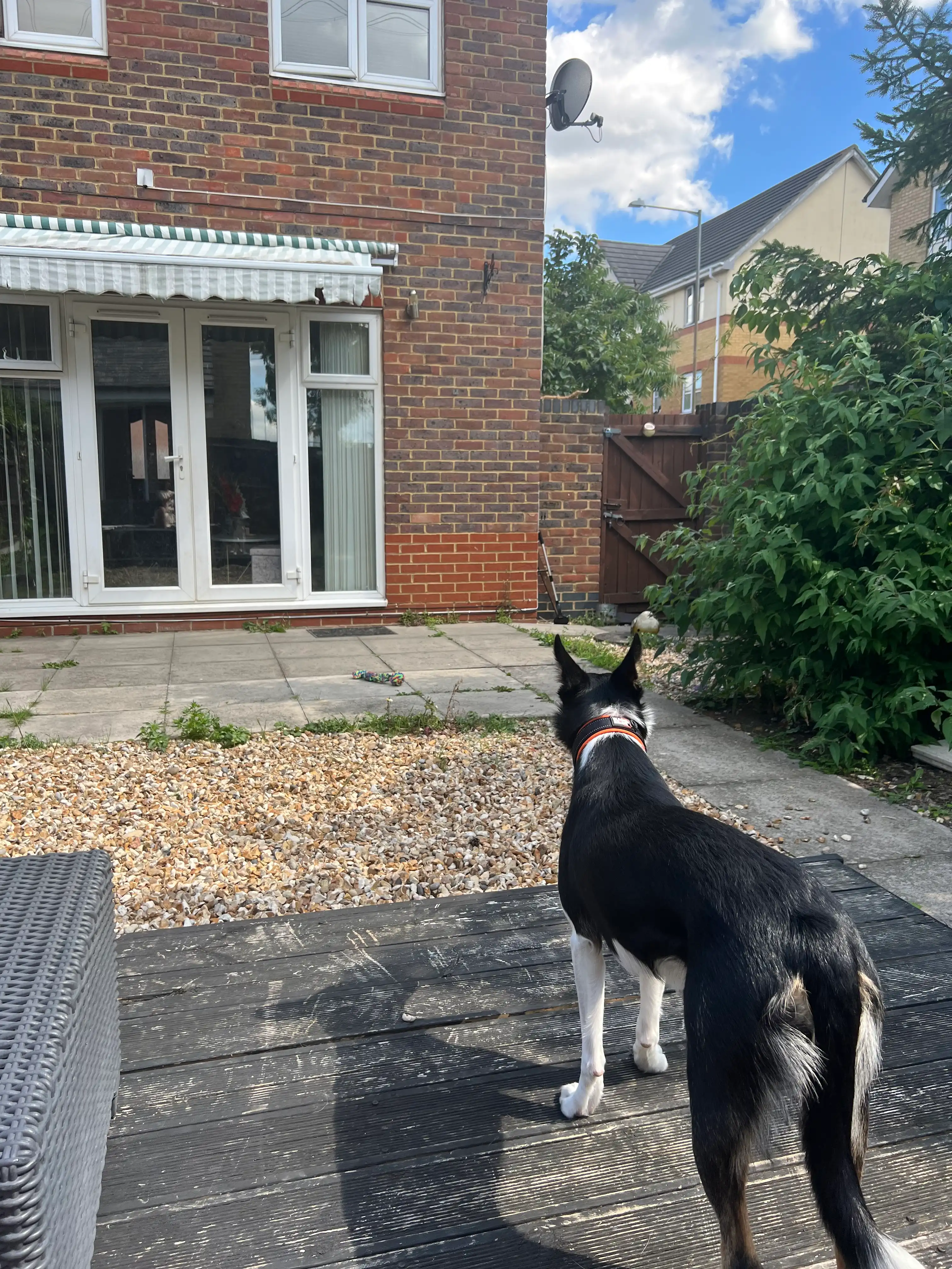 image-38