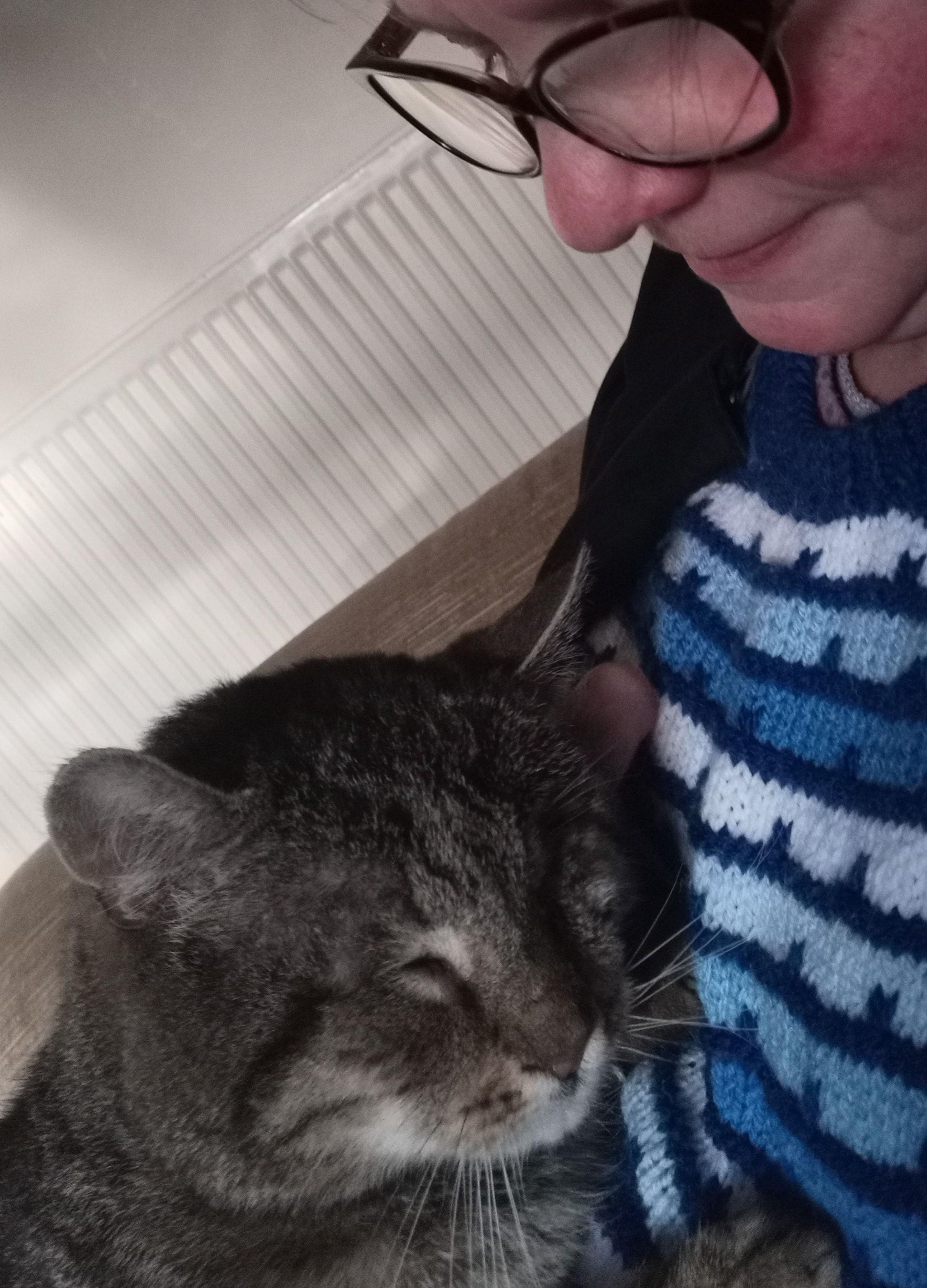 image-6