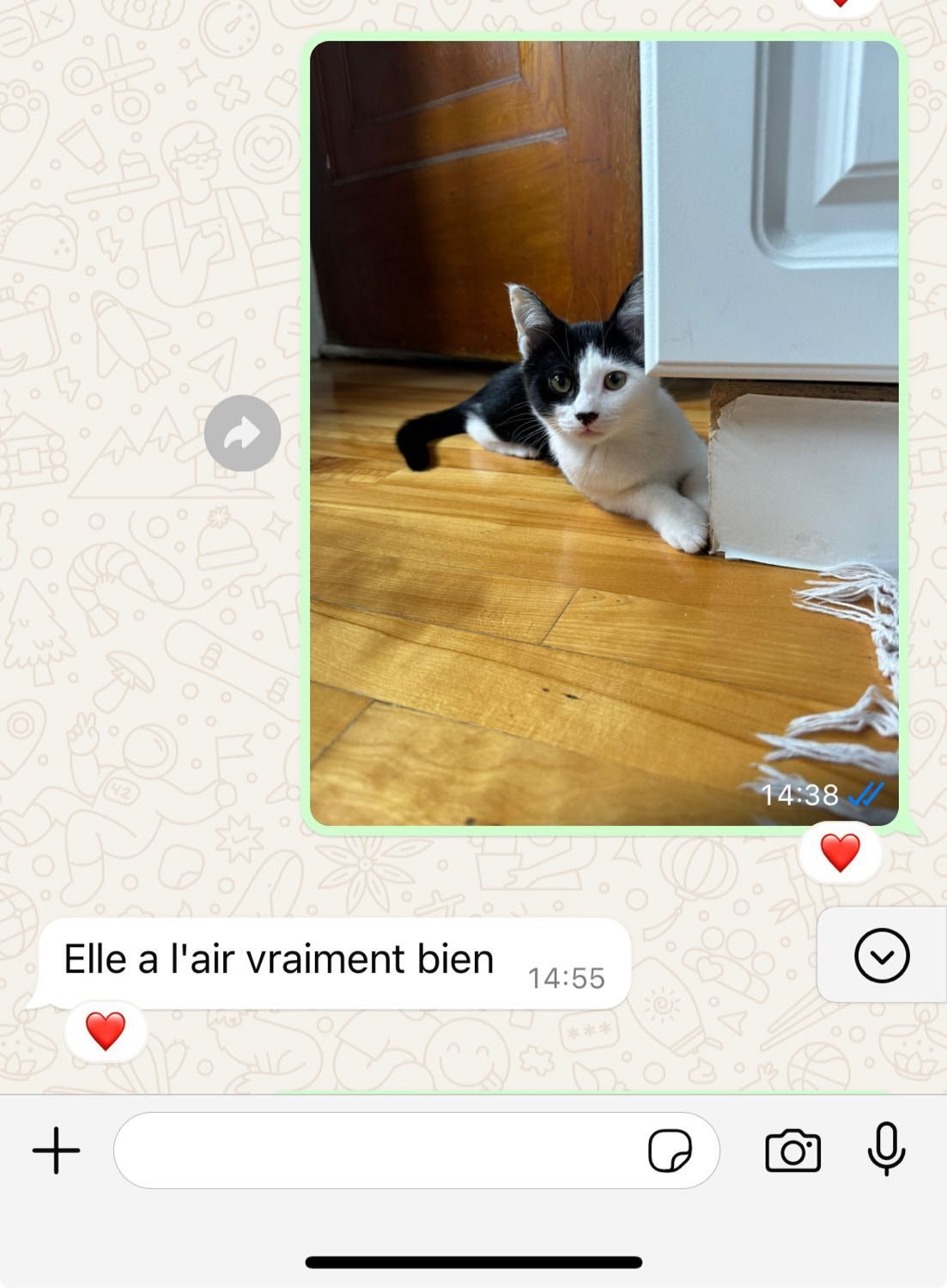 image-41
