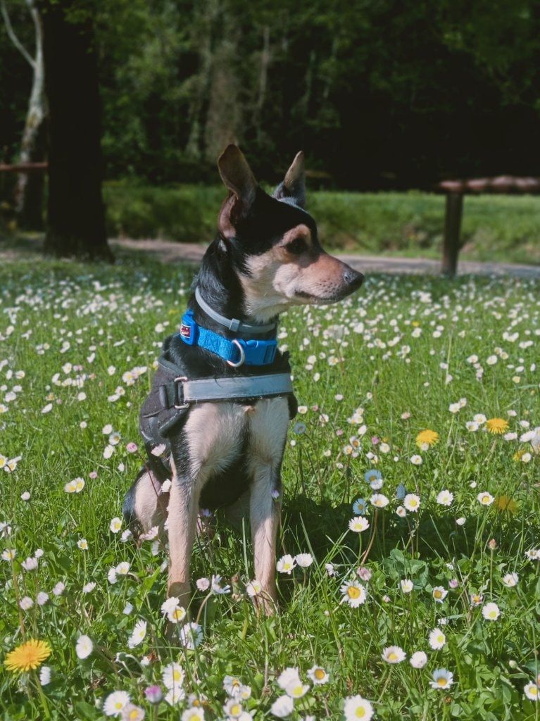 image-5