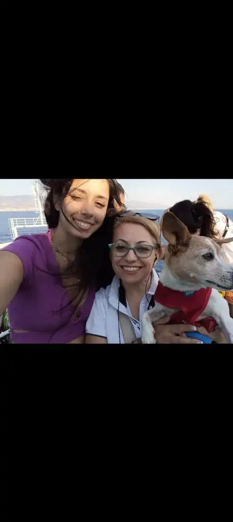 image-14