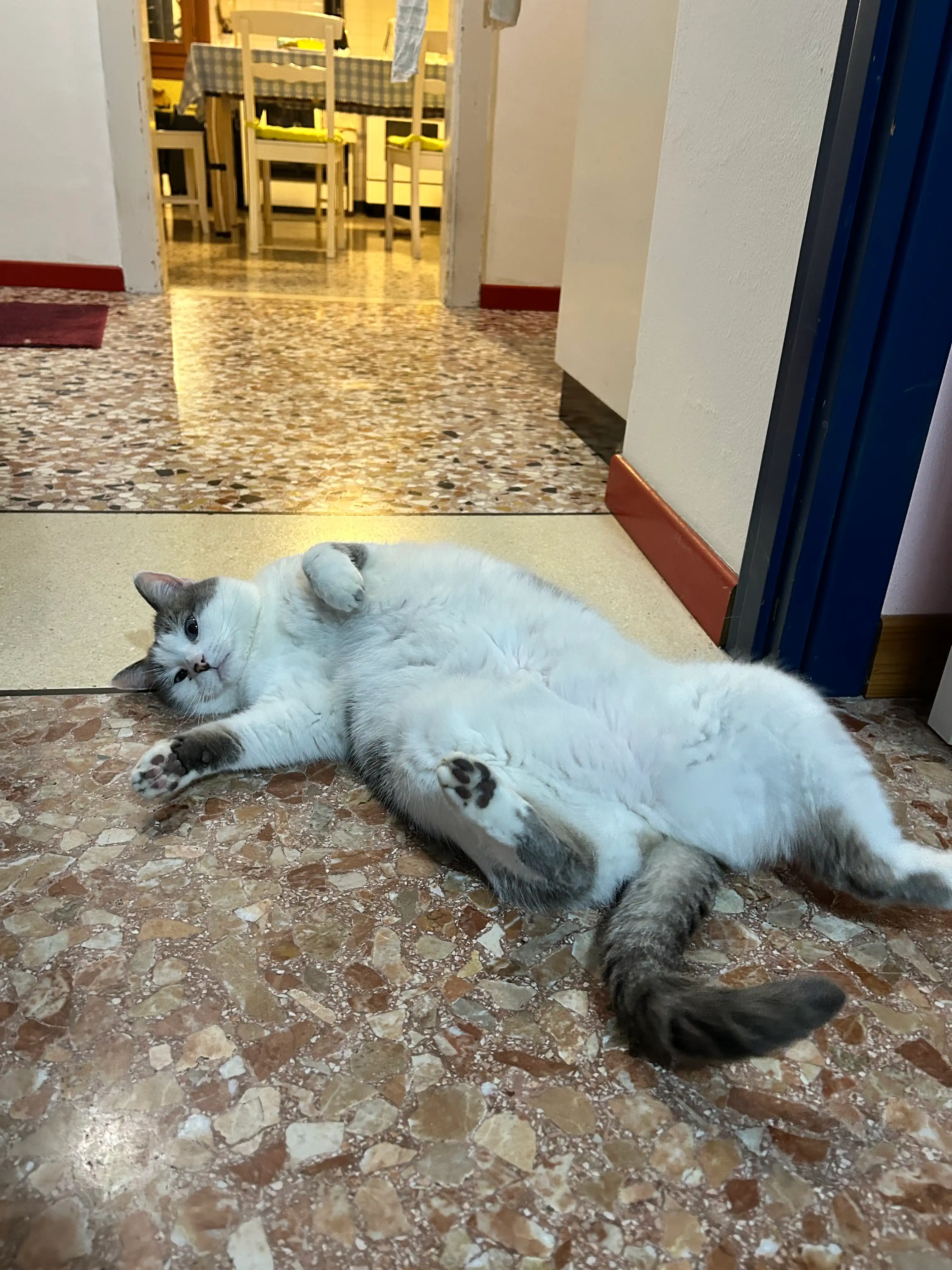 image-9