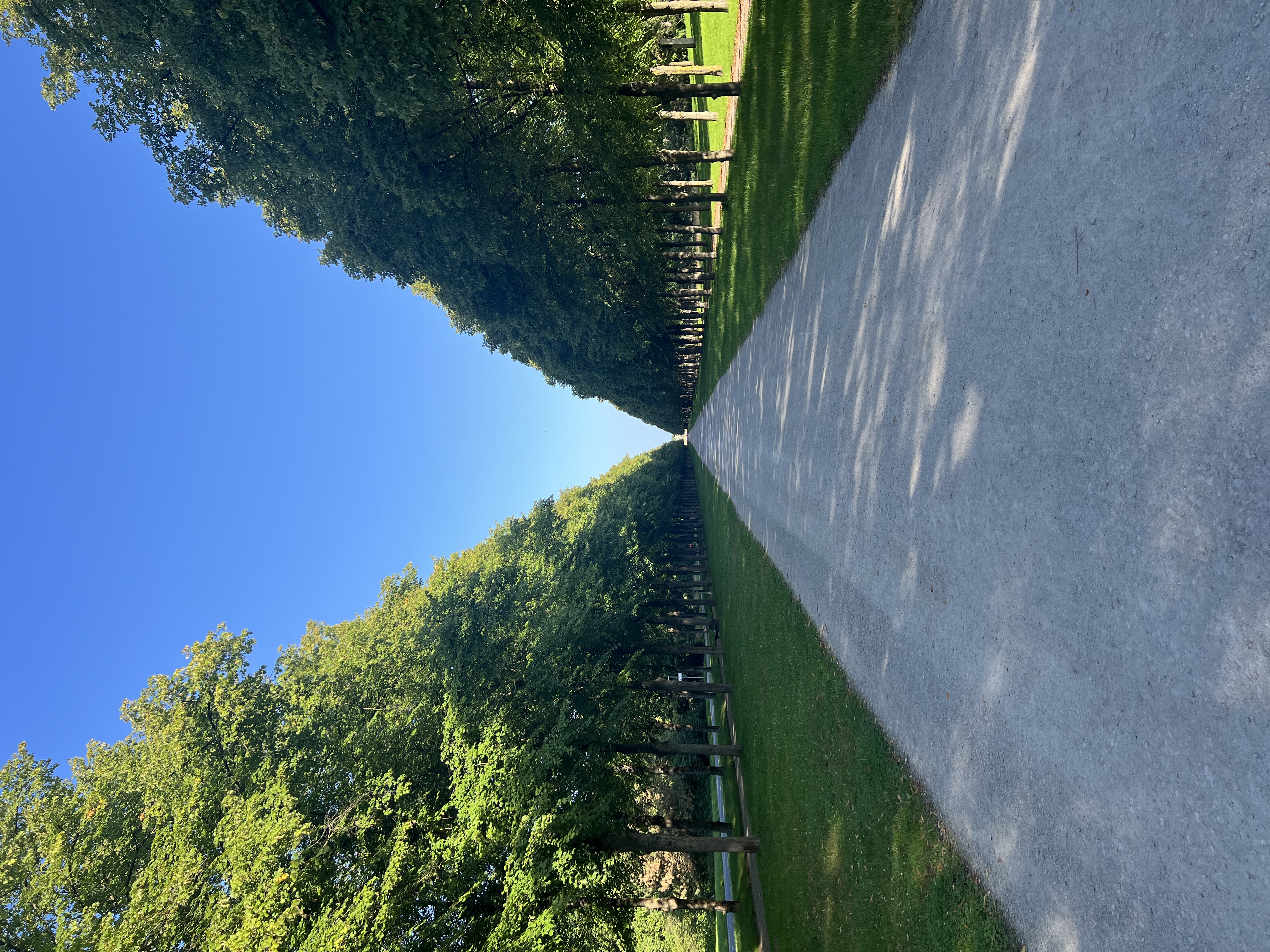 image-24