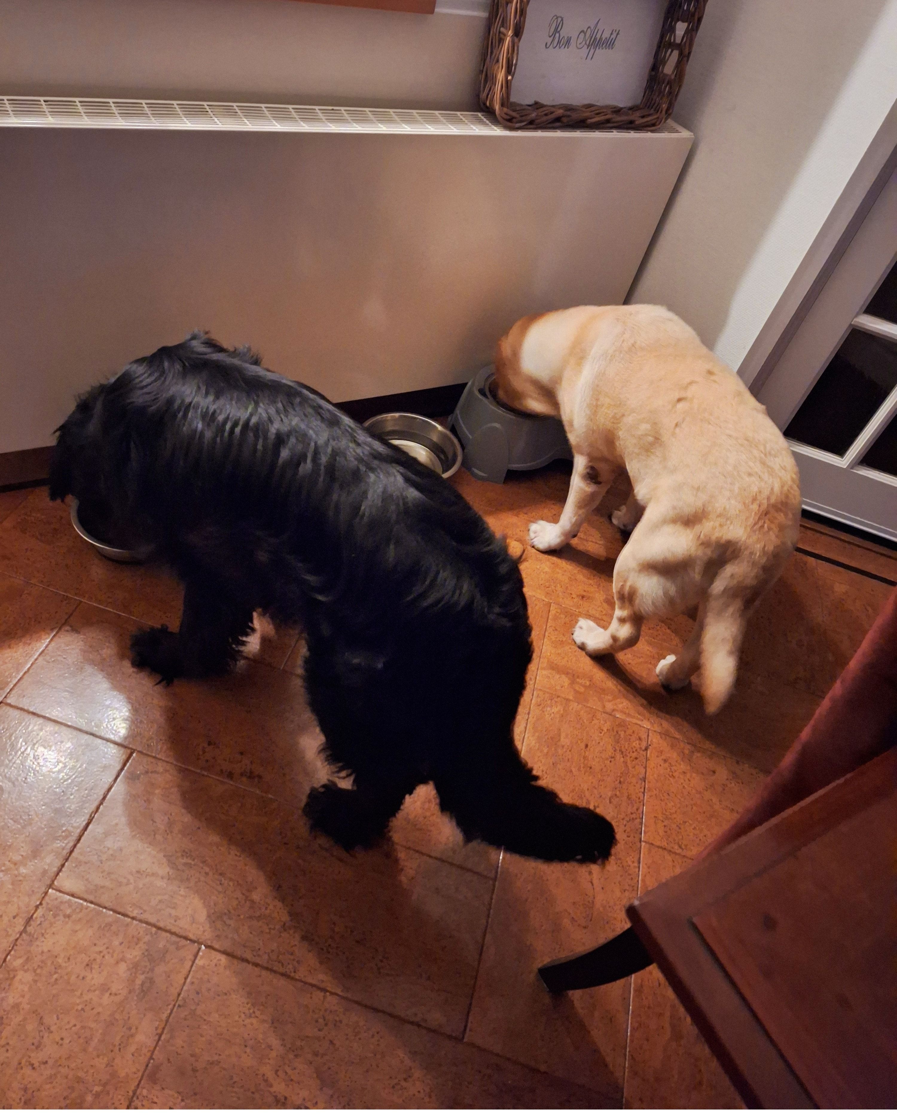 image-46