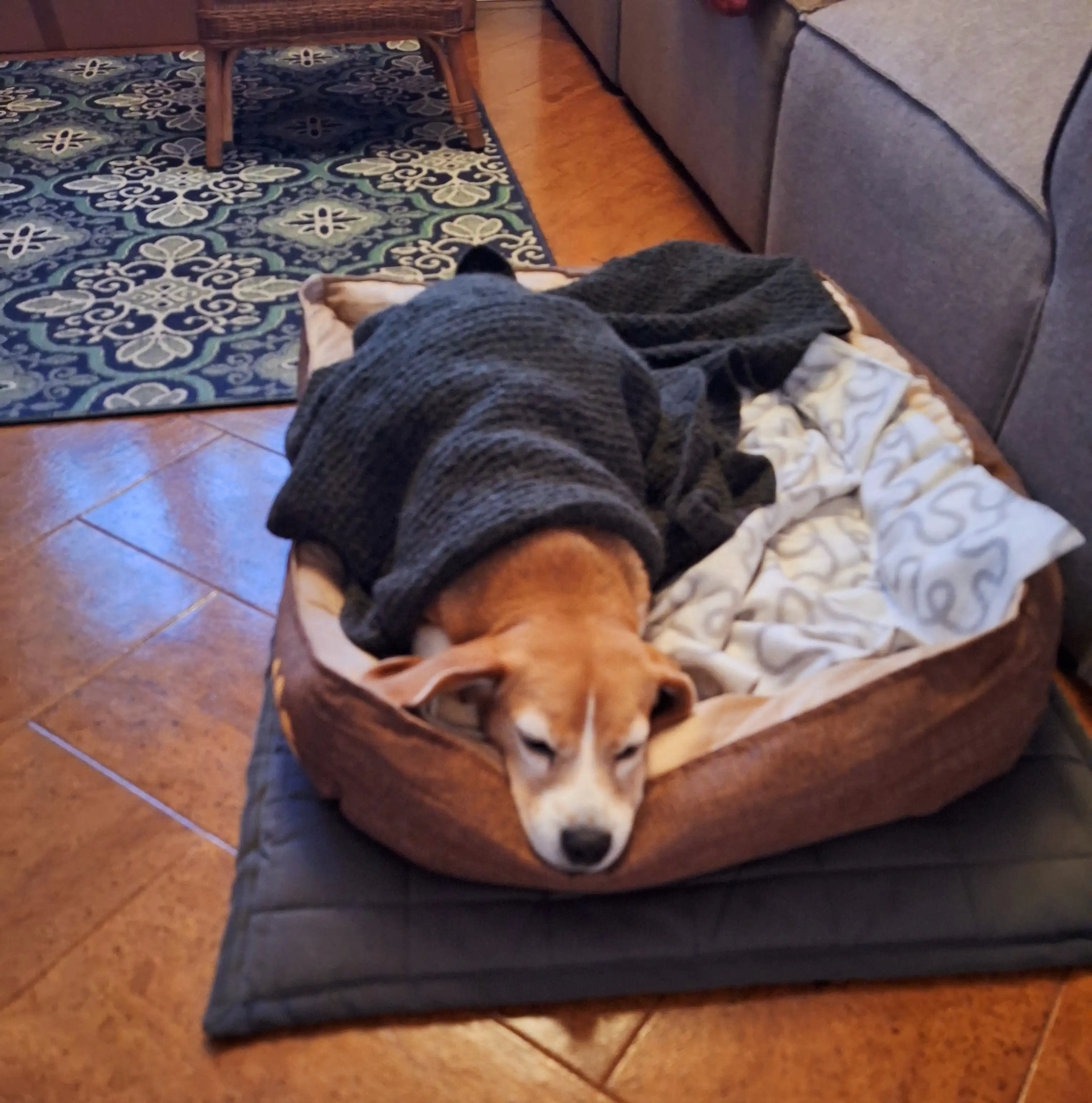 image-15