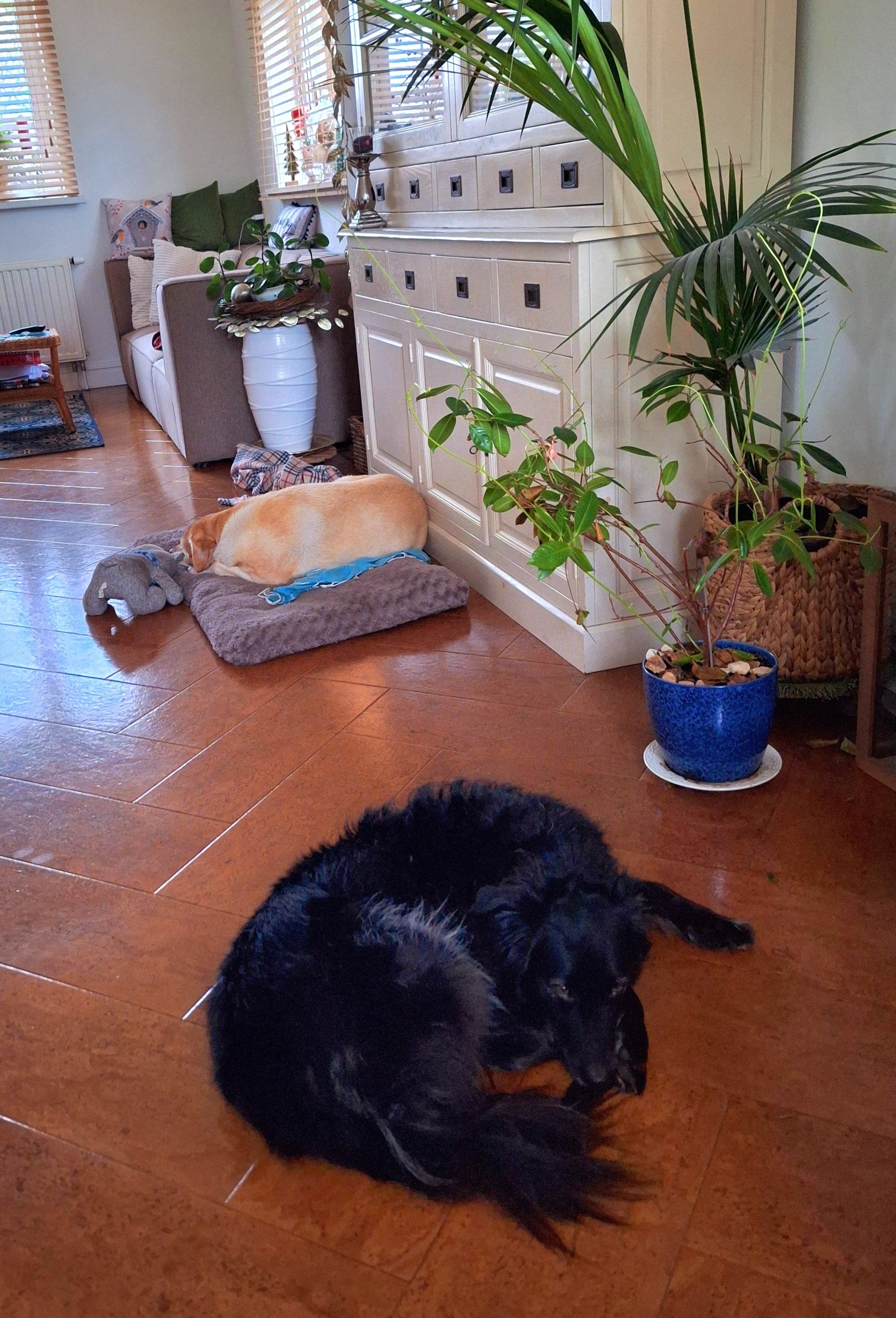 image-47