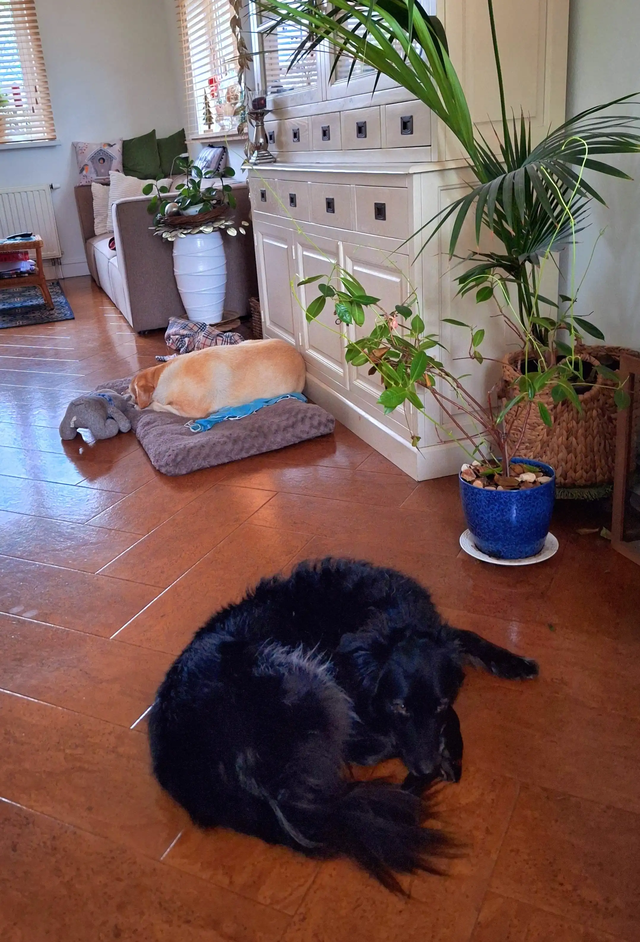 image-47