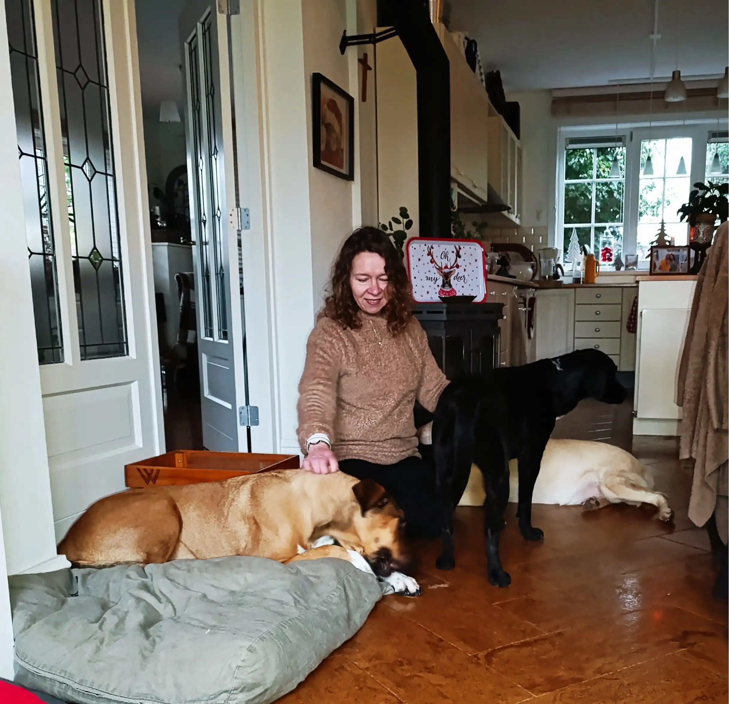 image-43