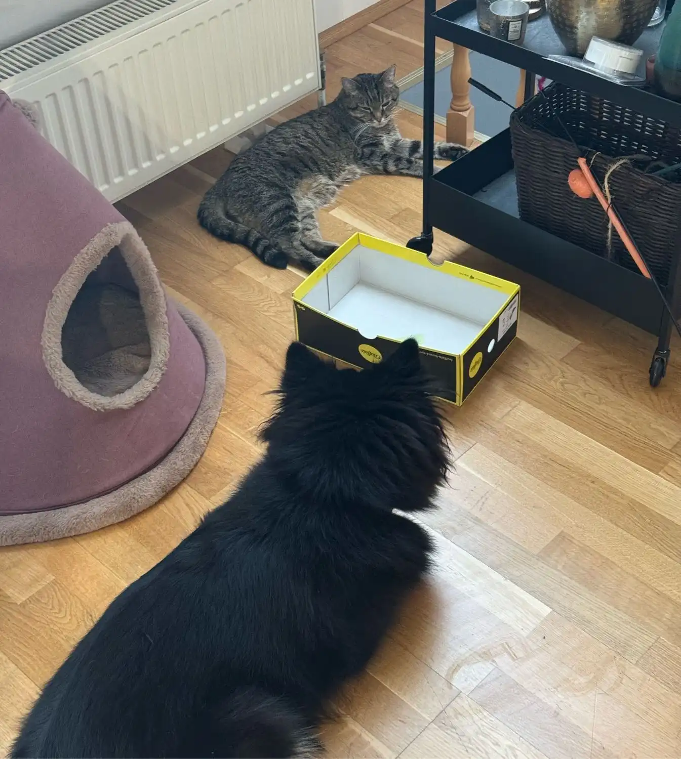 image-27