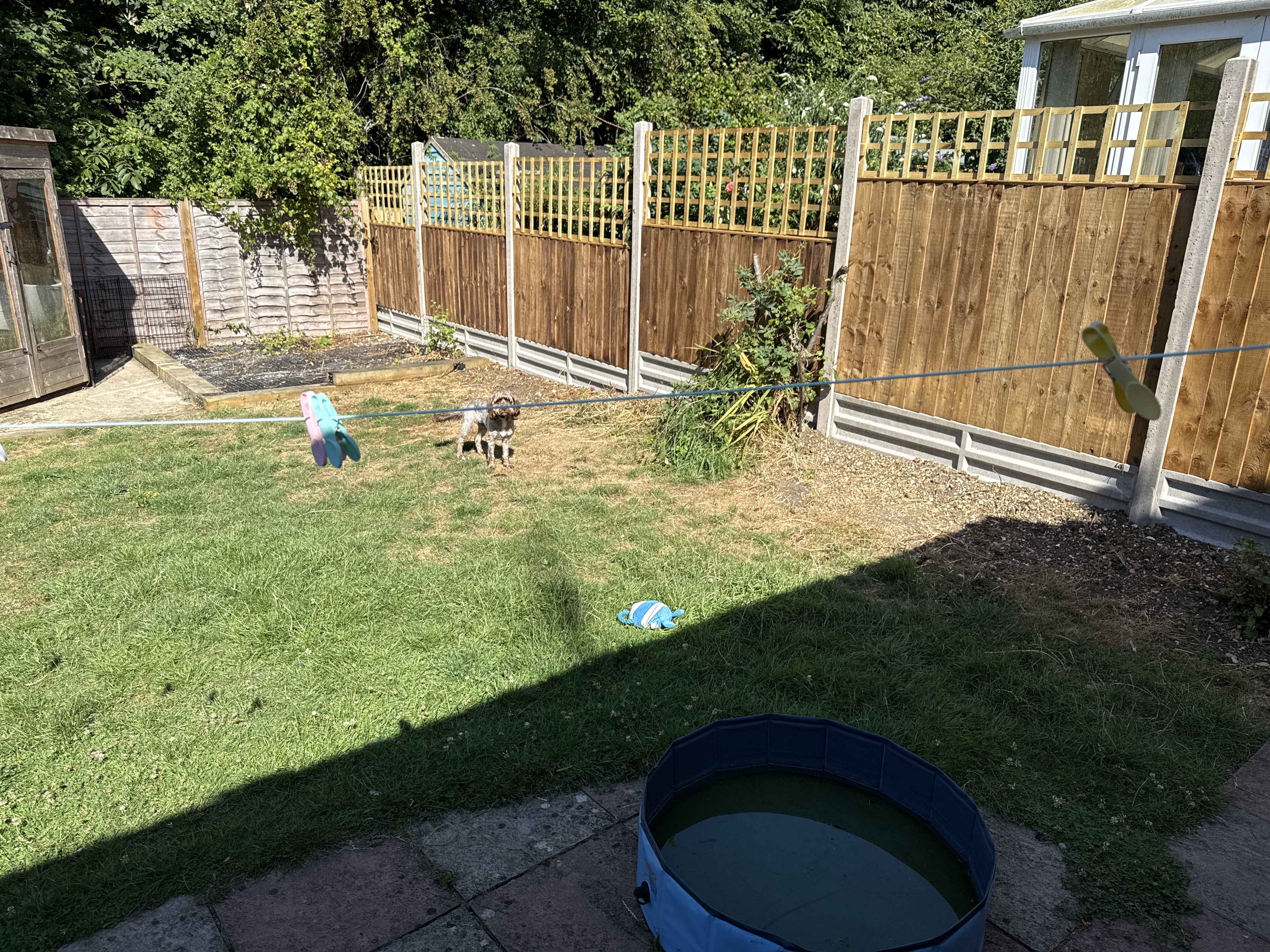 image-14