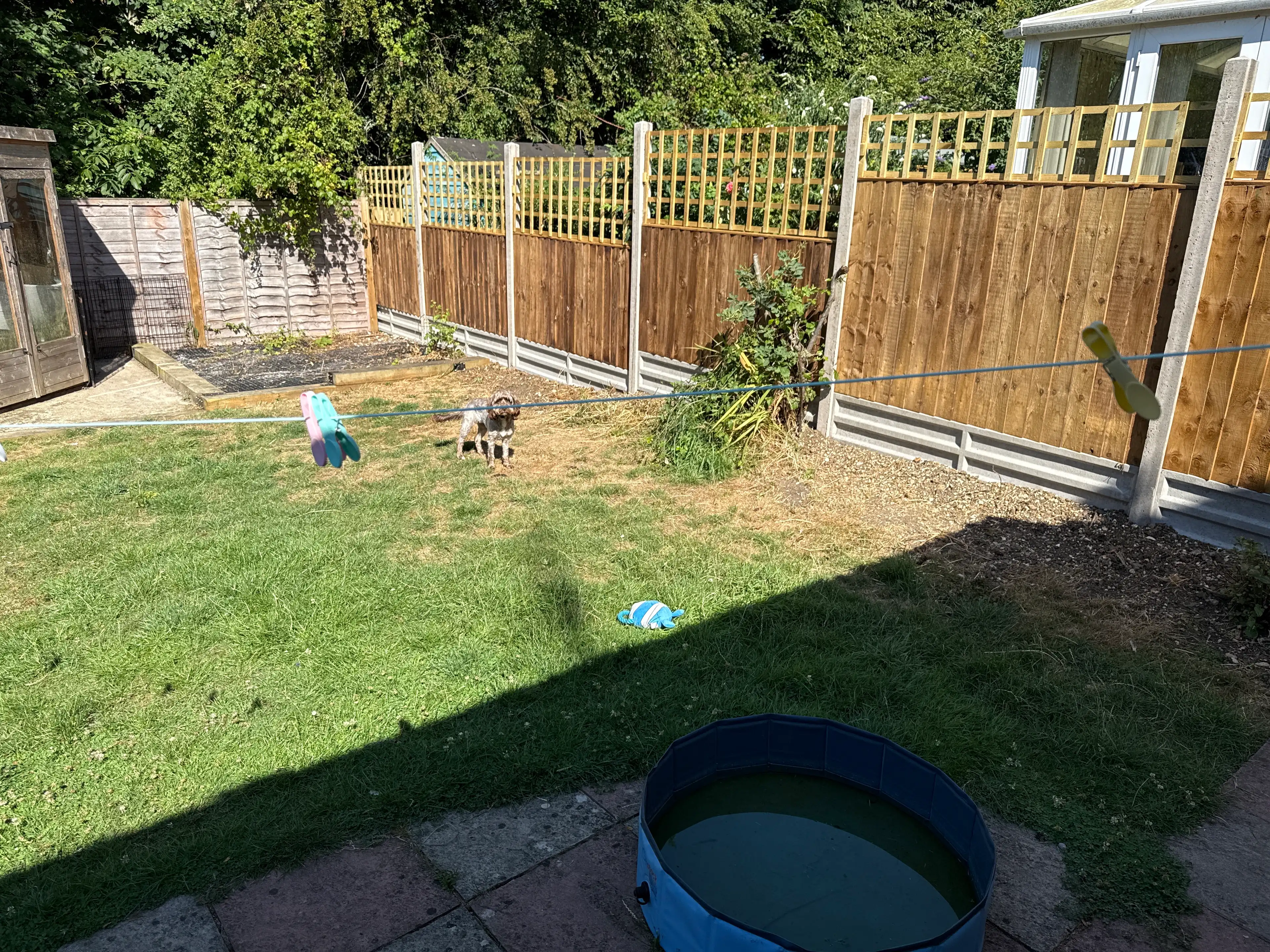 image-14