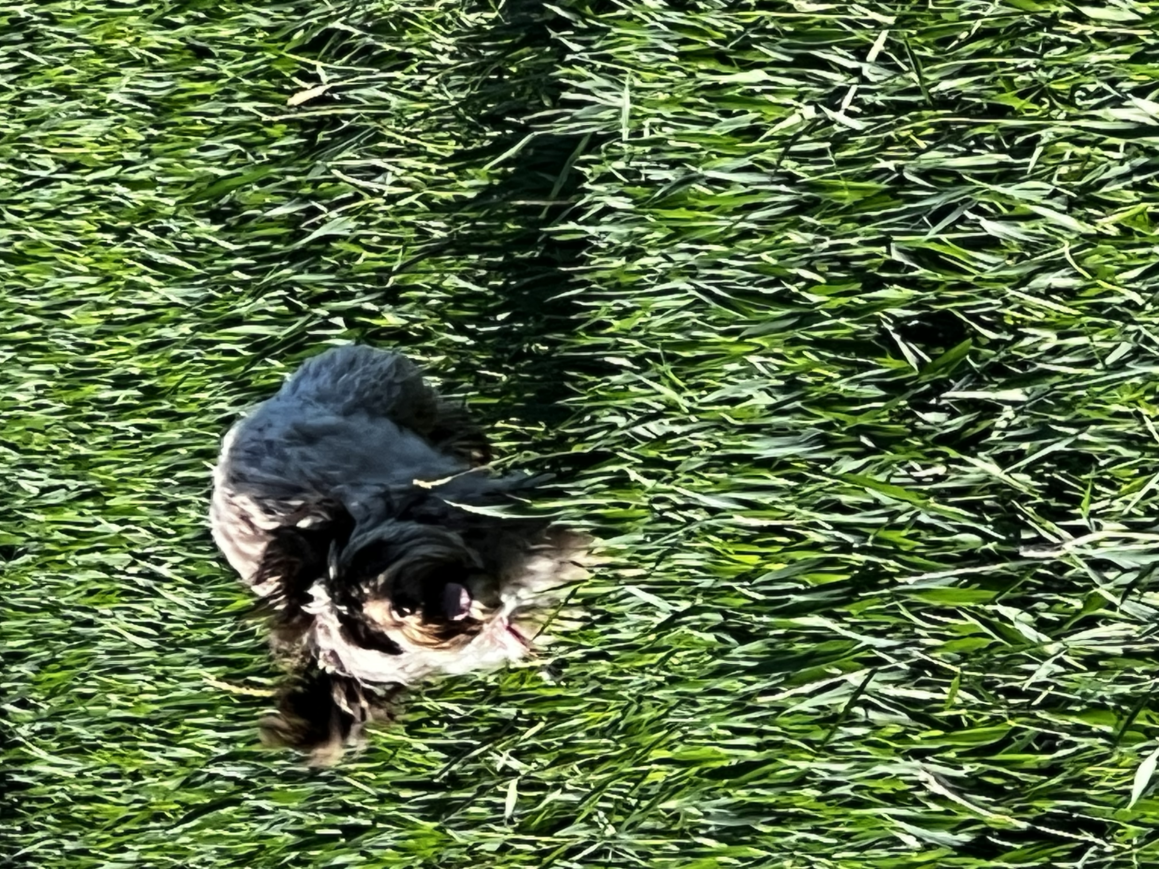 image-10