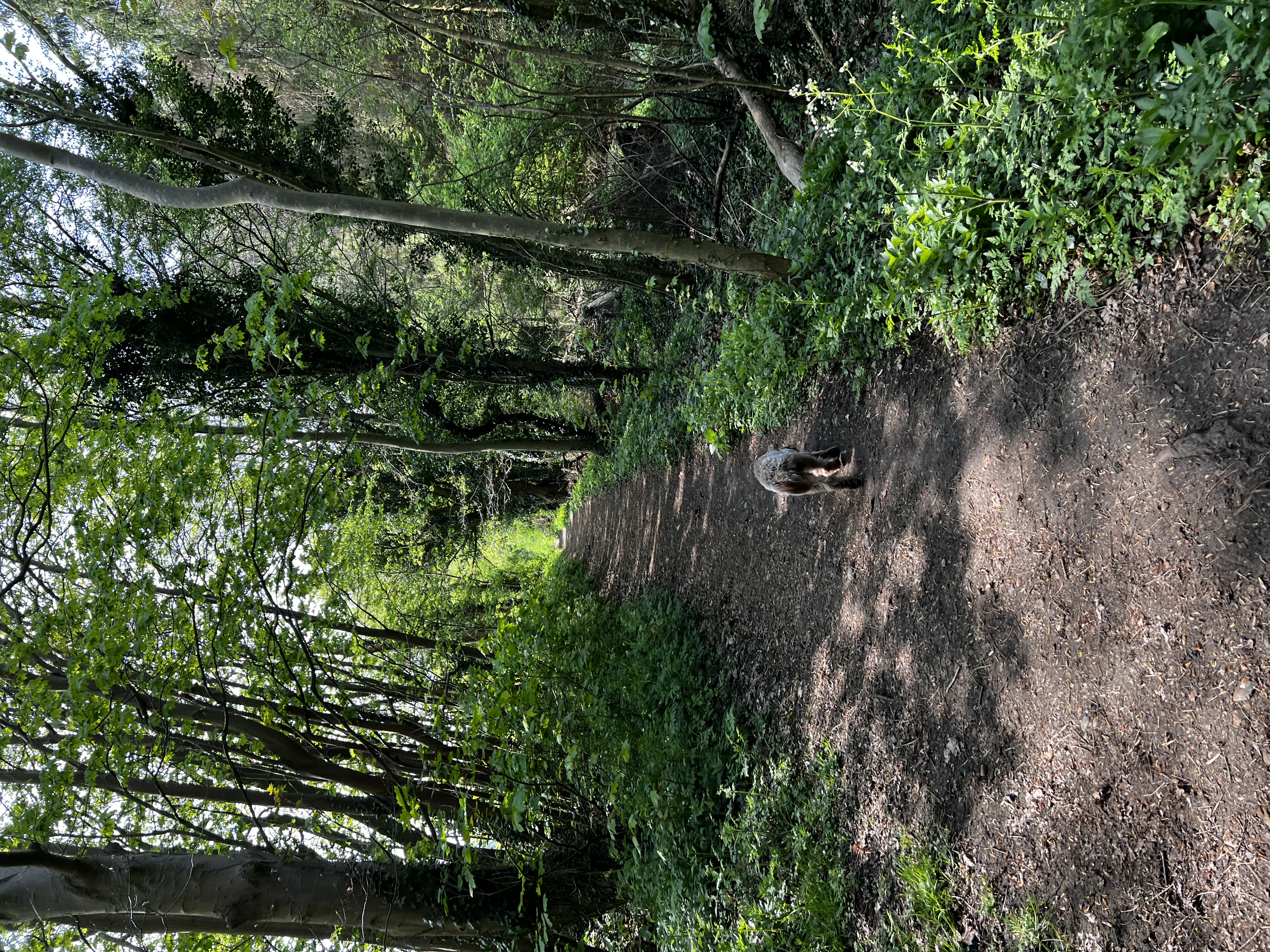 image-11