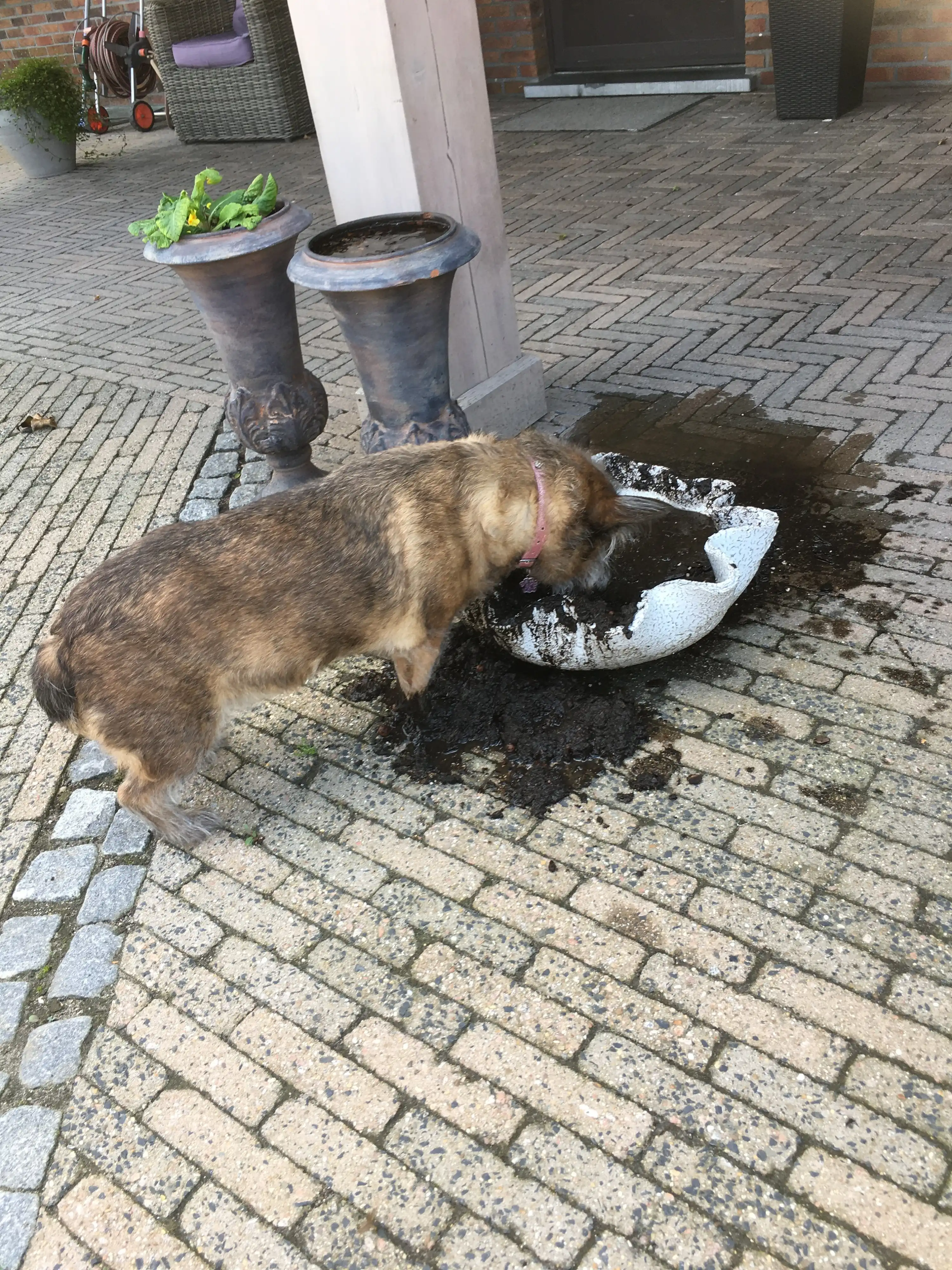 image-7