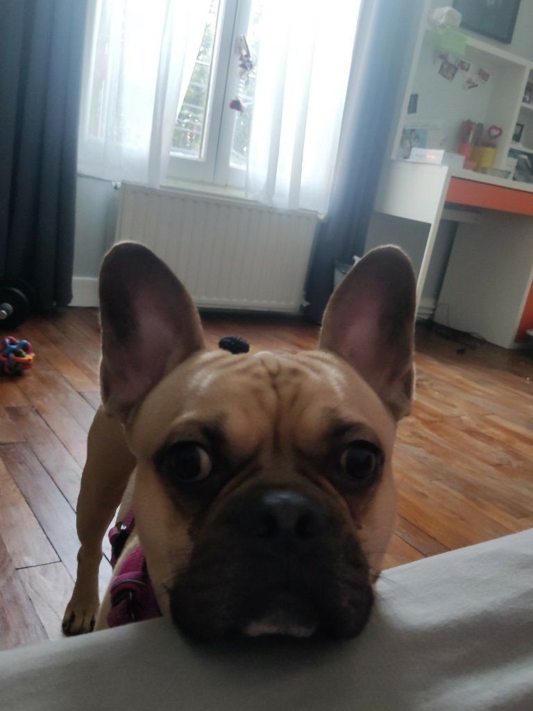 image-4