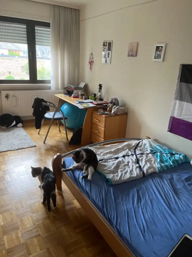 image-5