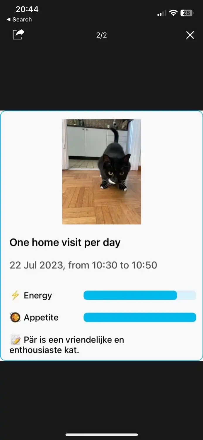 image-7