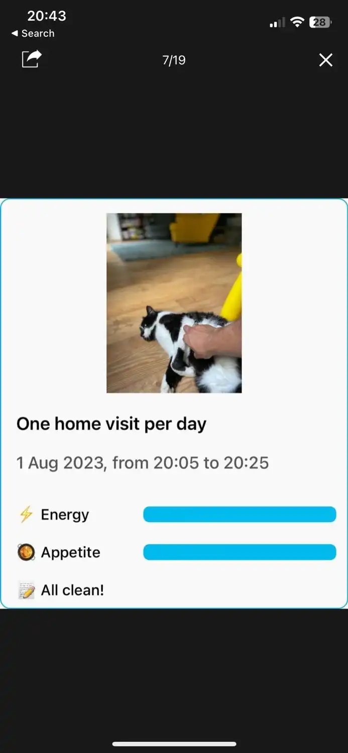 image-6