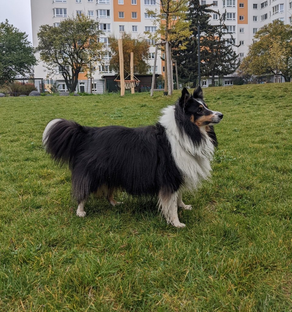 image-18